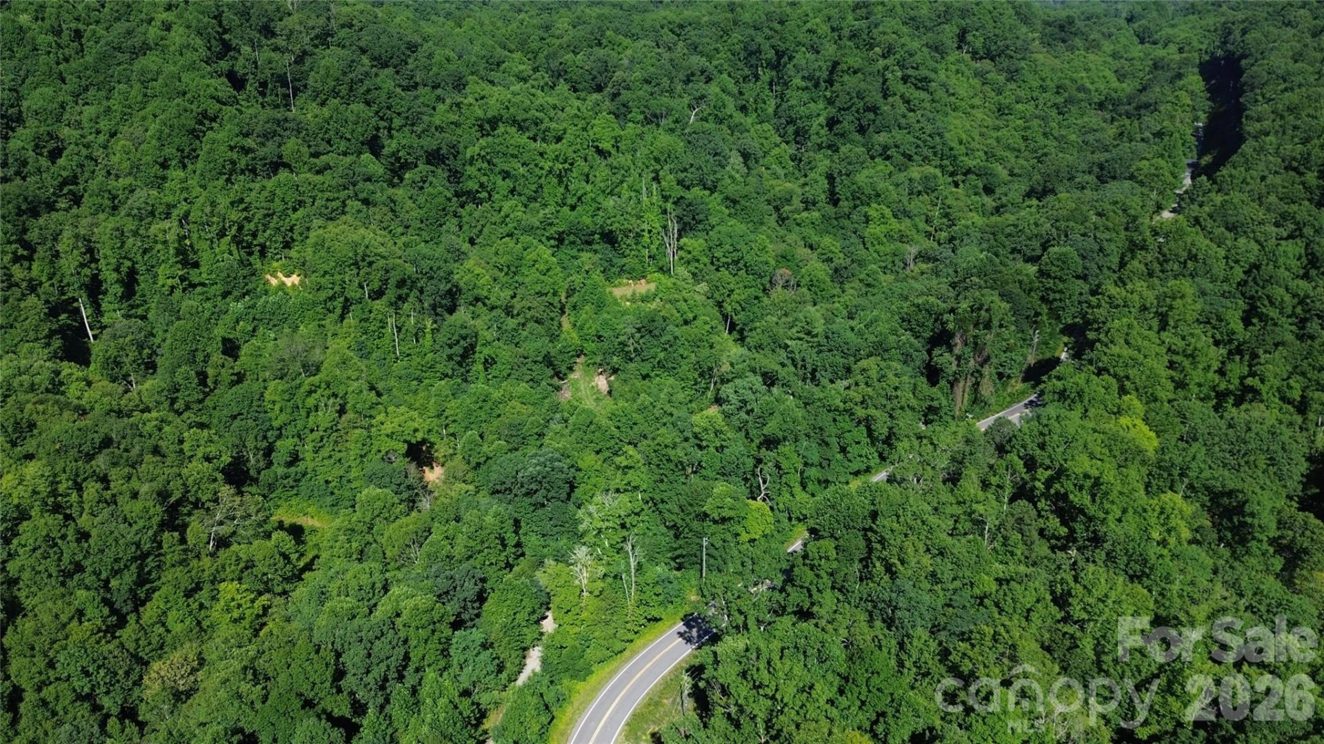 99999 Morgan Hill Road - Photo 4
