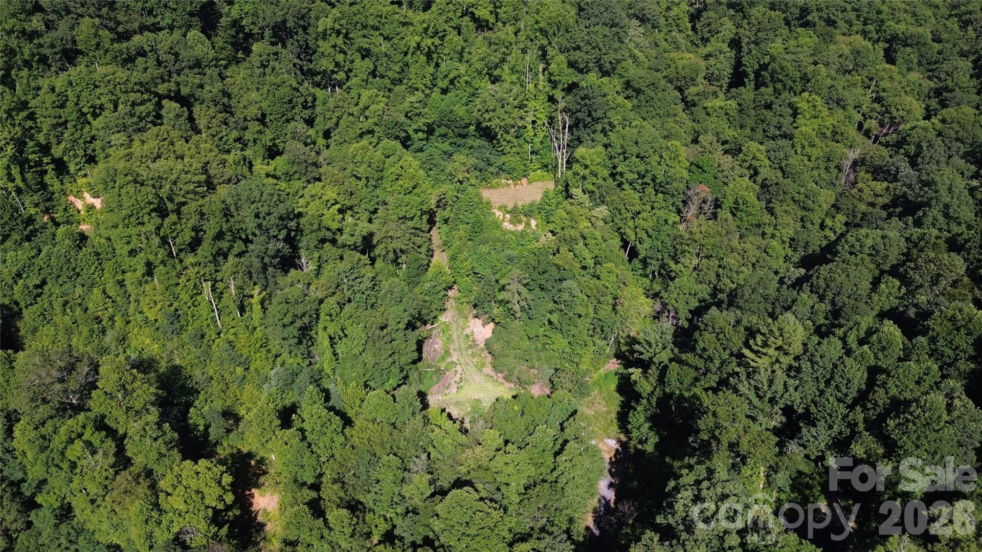99999 Morgan Hill Road - Photo 6