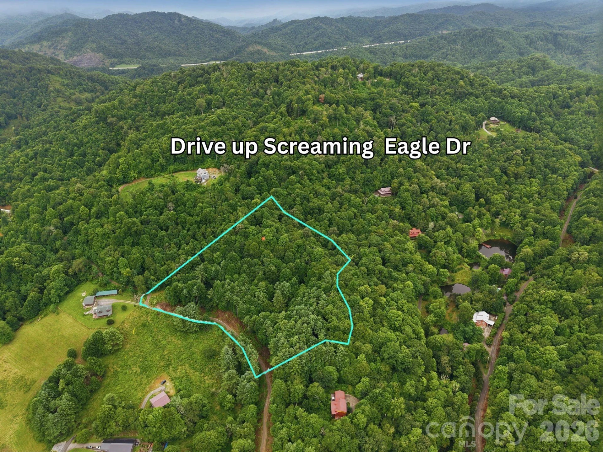 220 Screaming Eagle Drive - Photo 2