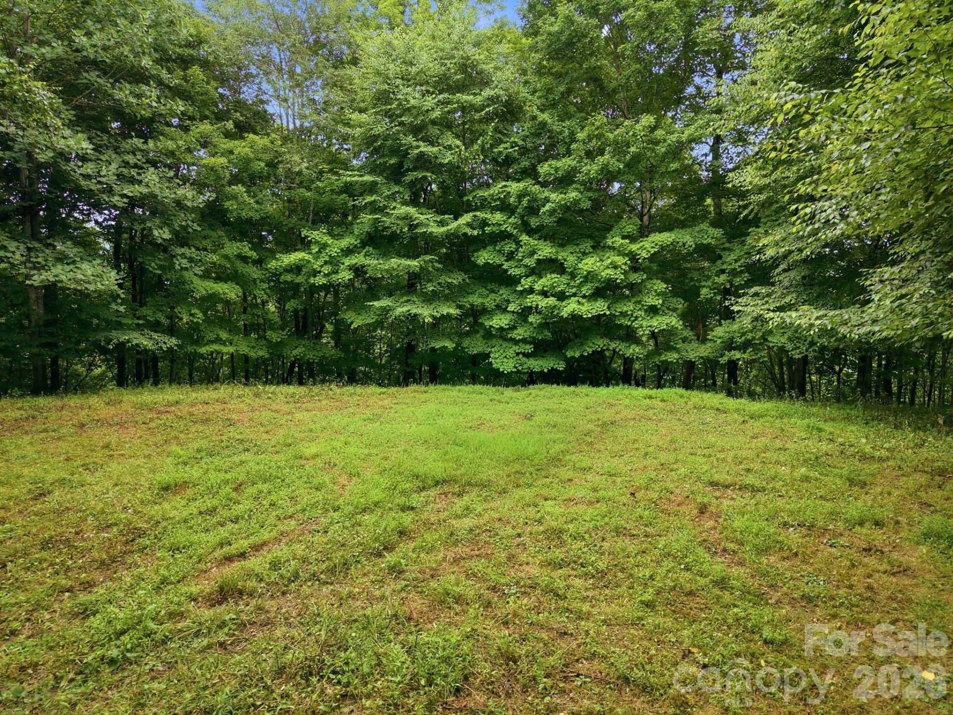 220 Screaming Eagle Drive - Photo 11