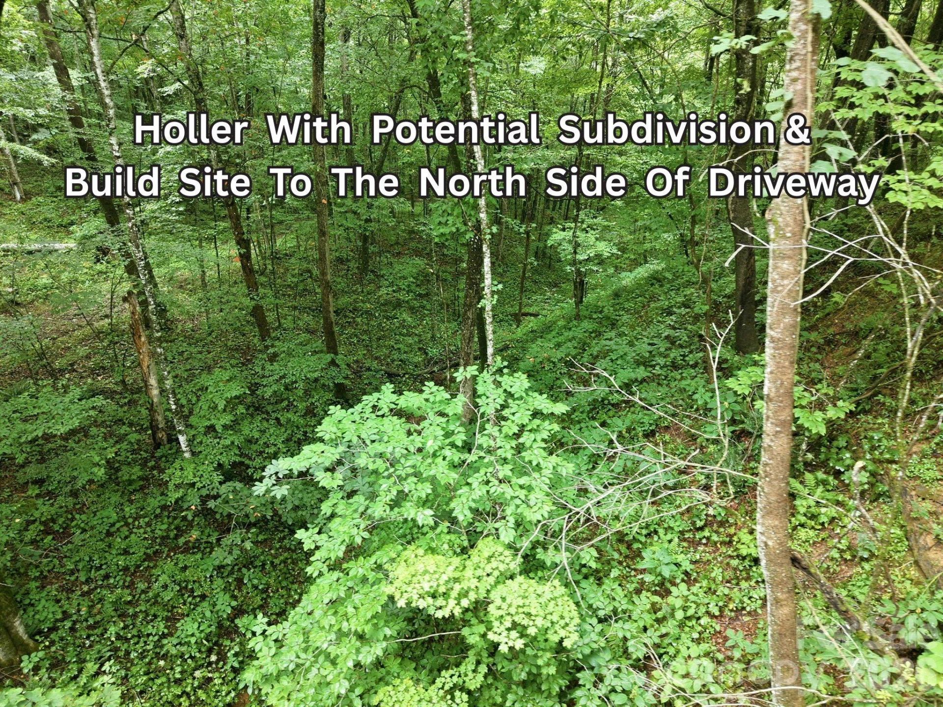 220 Screaming Eagle Drive - Photo 12