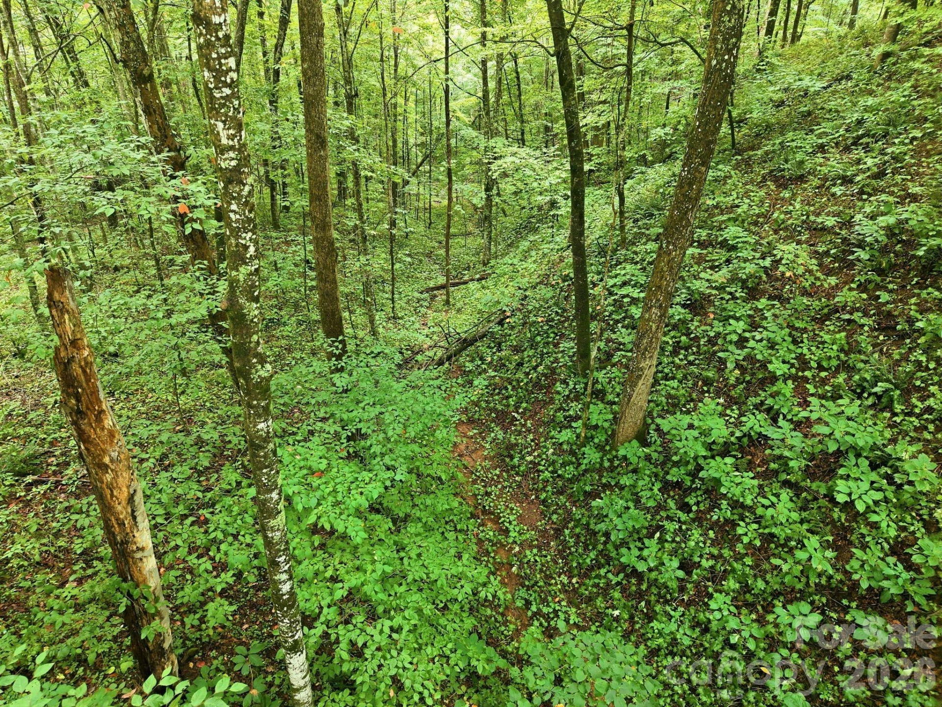 220 Screaming Eagle Drive - Photo 13