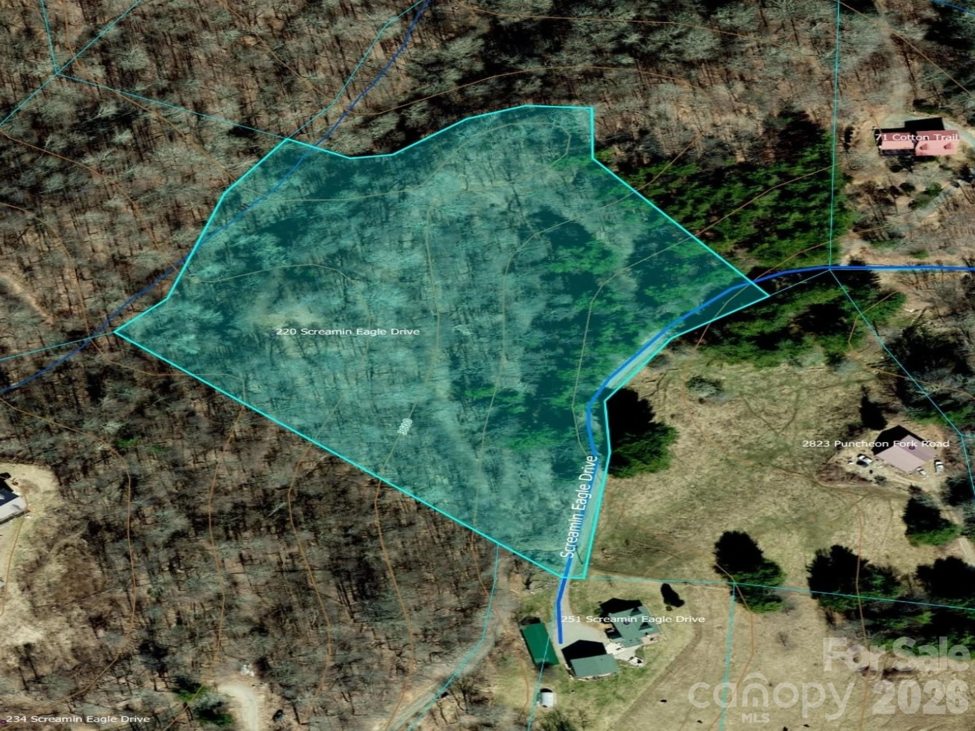 220 Screaming Eagle Drive - Photo 17