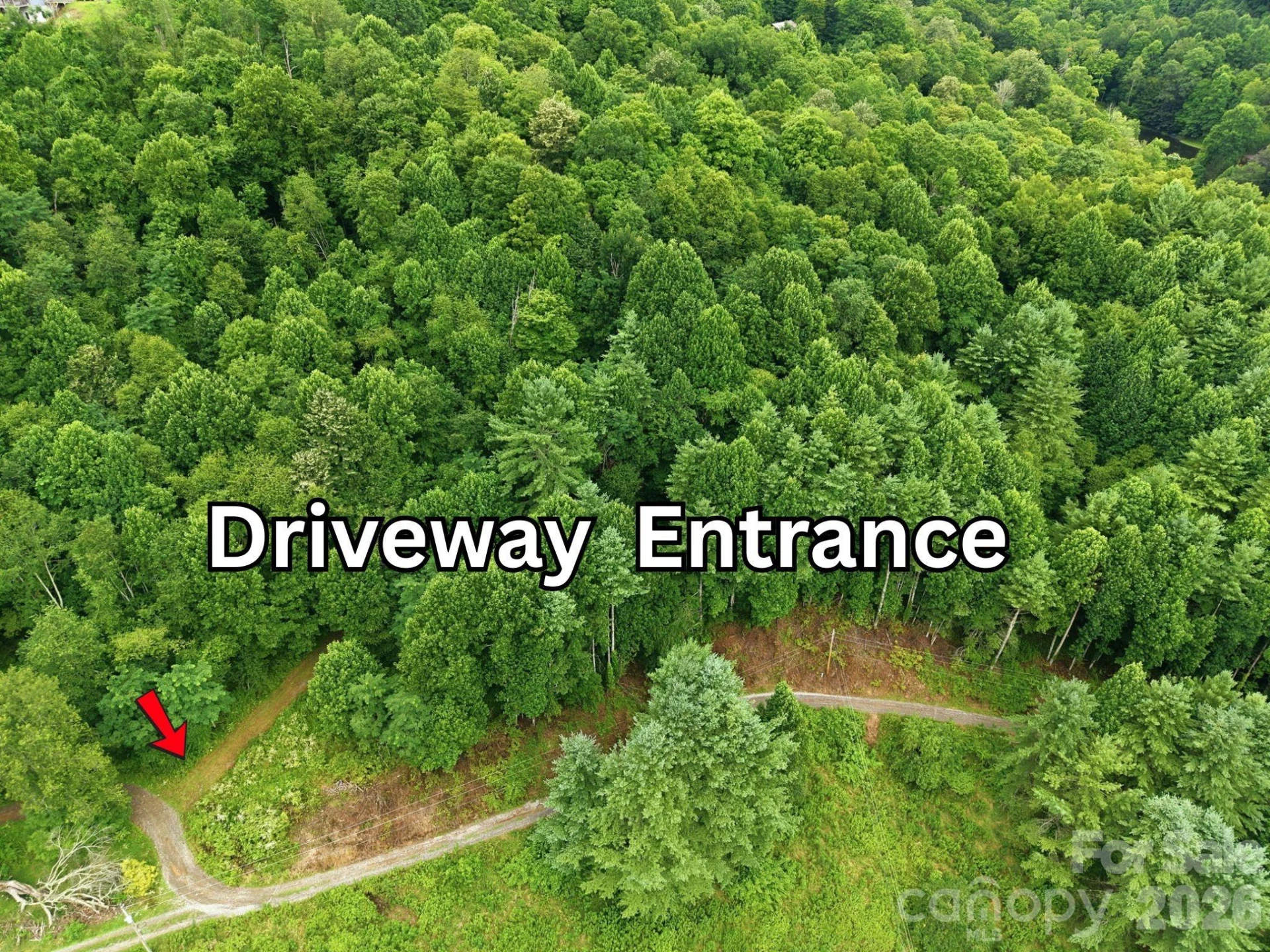 220 Screaming Eagle Drive - Photo 3