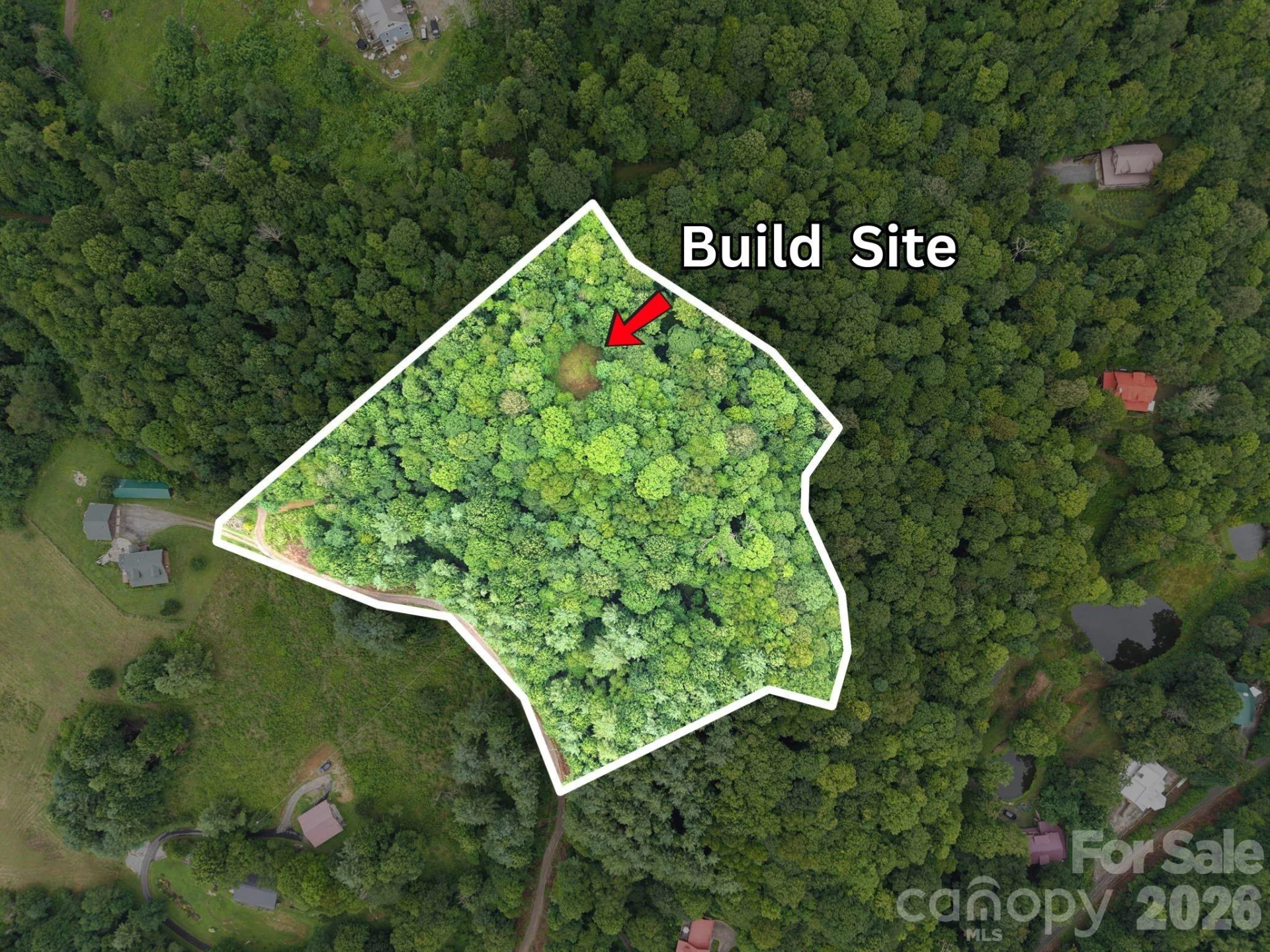 220 Screaming Eagle Drive - Photo 6
