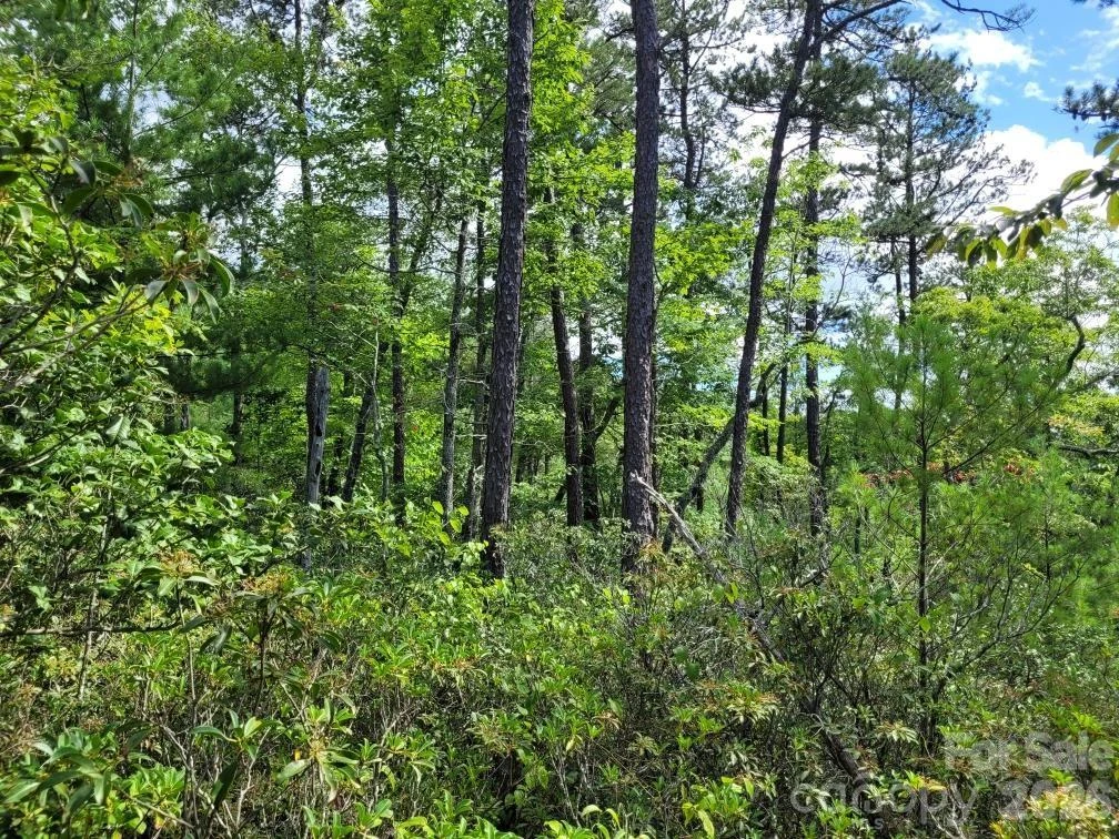 0 Oconee Drive - Photo 18