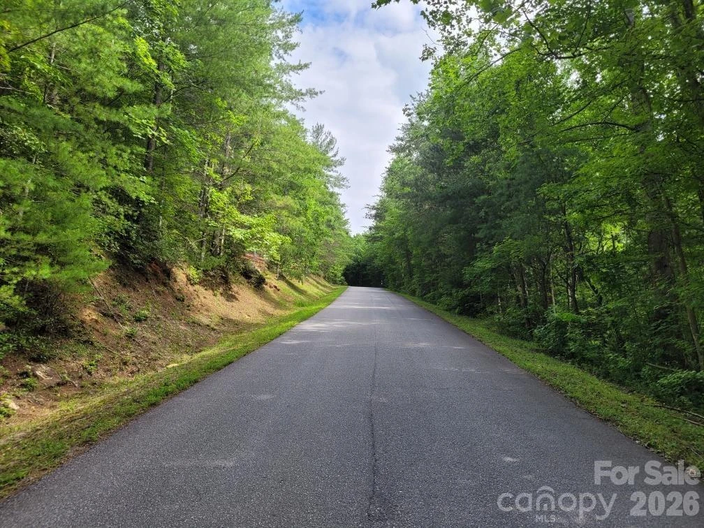 0 Oconee Drive - Photo 3