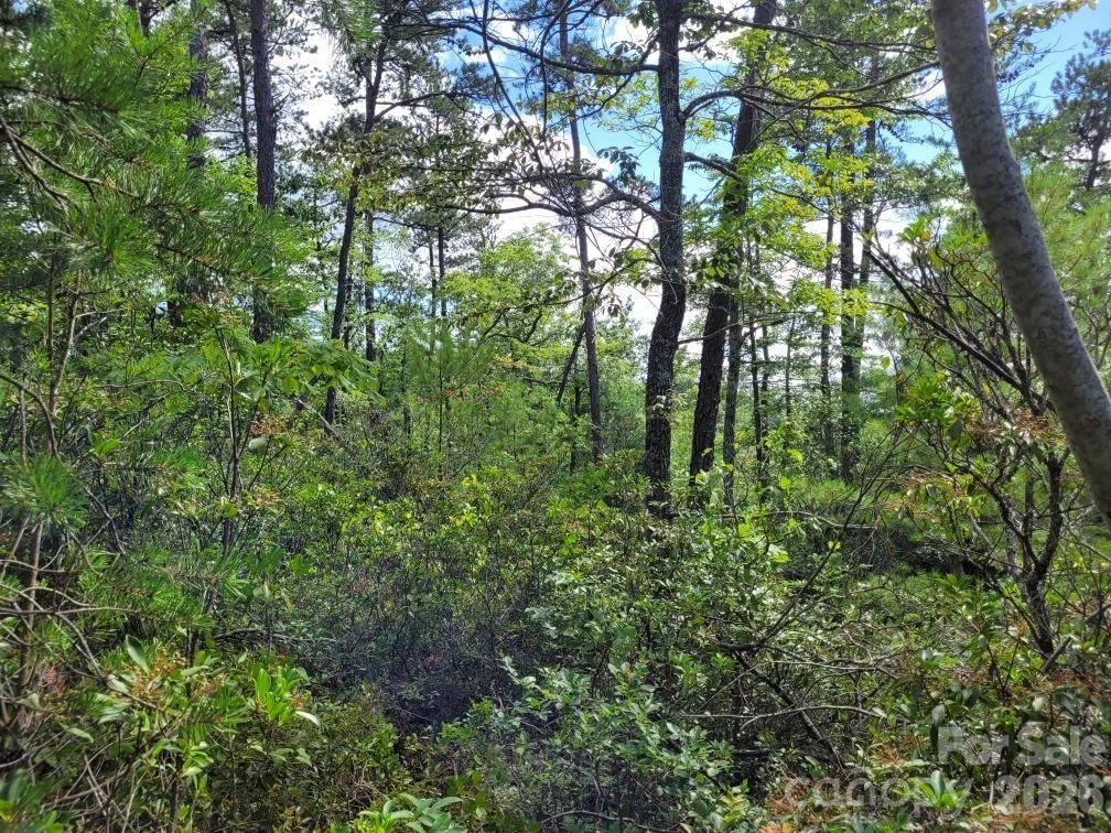 0 Oconee Drive - Photo 26