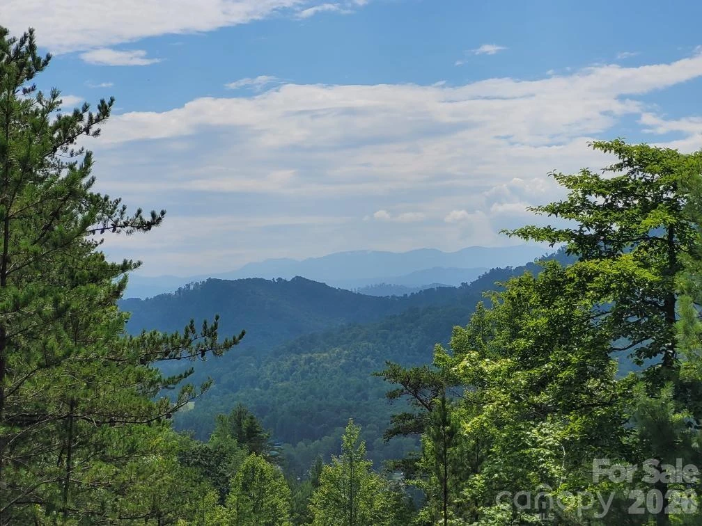 0 Oconee Drive - Photo 5