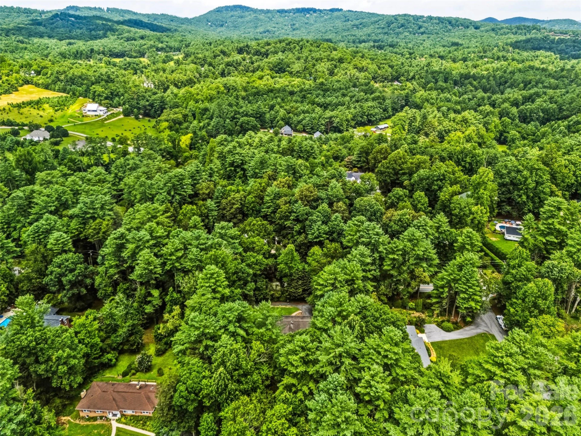2526 Kanuga Road - Photo 7