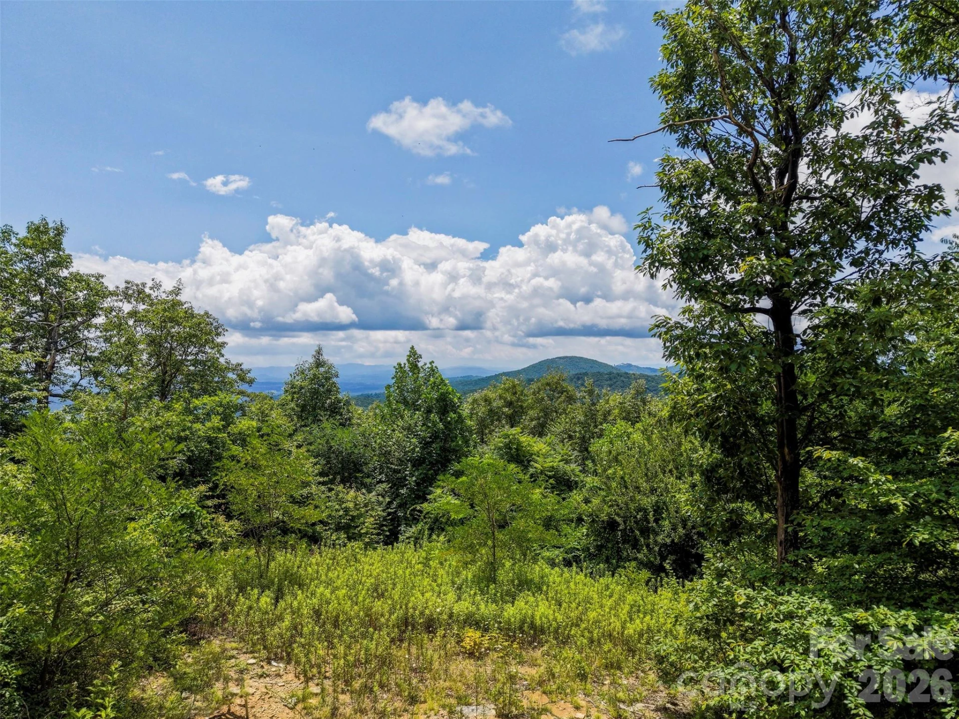 705 Pine Ridge Road #59