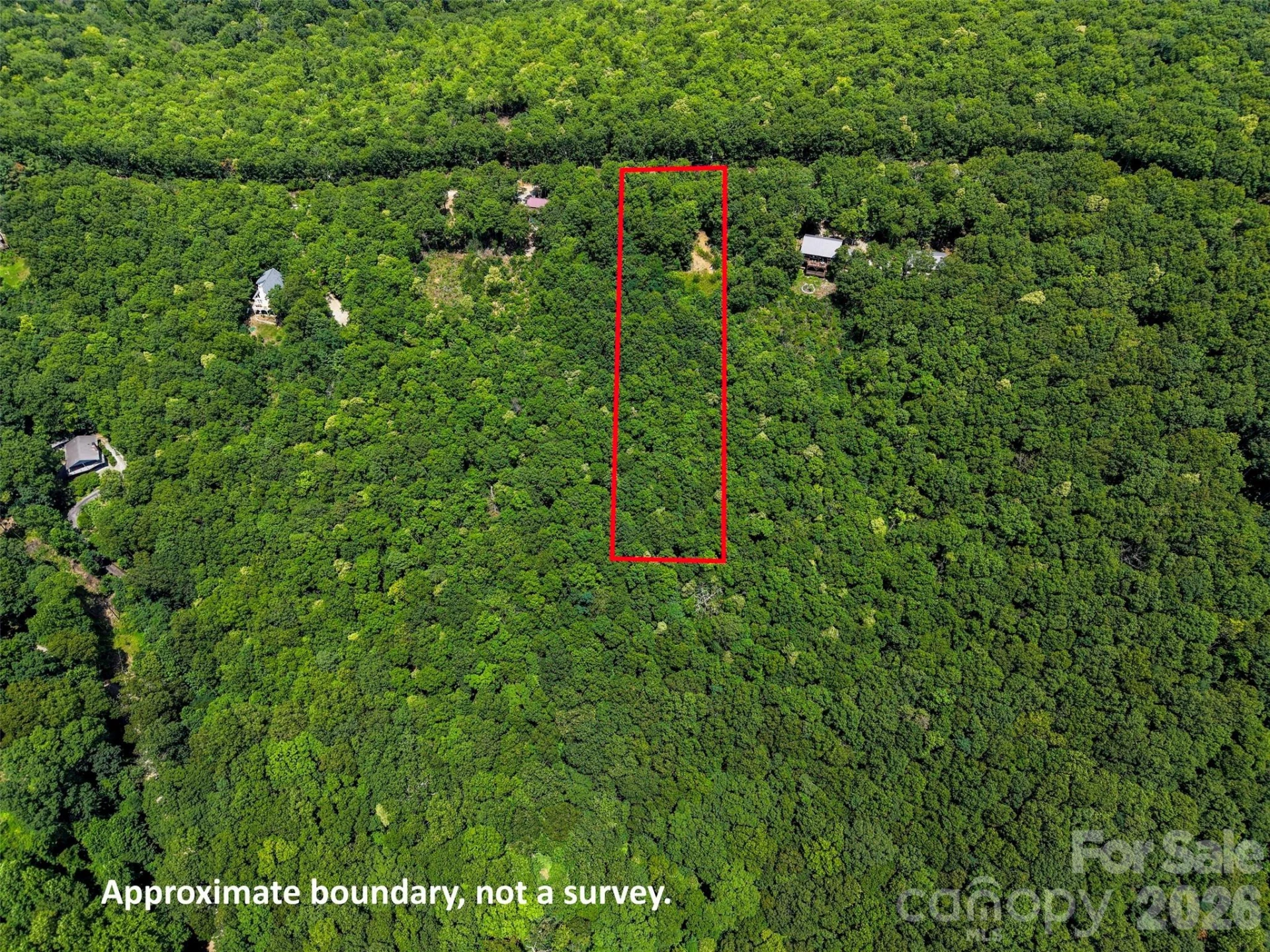 705 Pine Ridge Road #59 - Photo 4