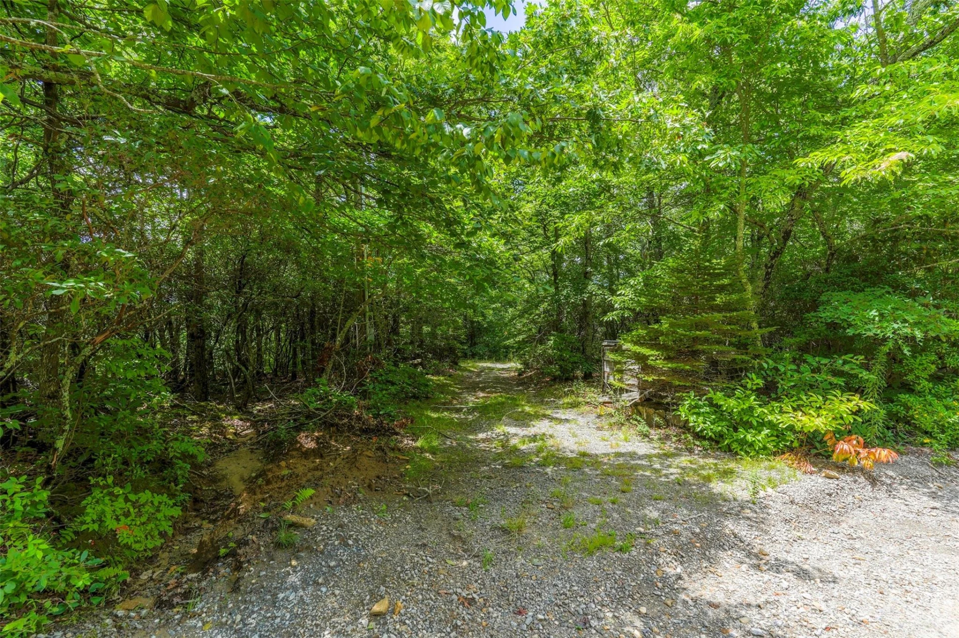 705 Pine Ridge Road #59 - Photo 5