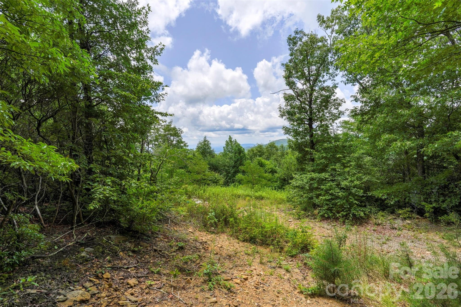 705 Pine Ridge Road #59 - Photo 8