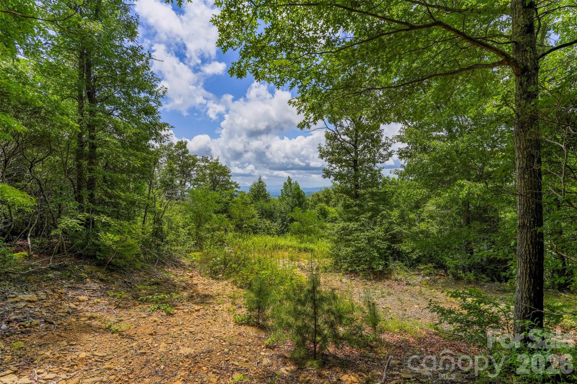 705 Pine Ridge Road #59 - Photo 9