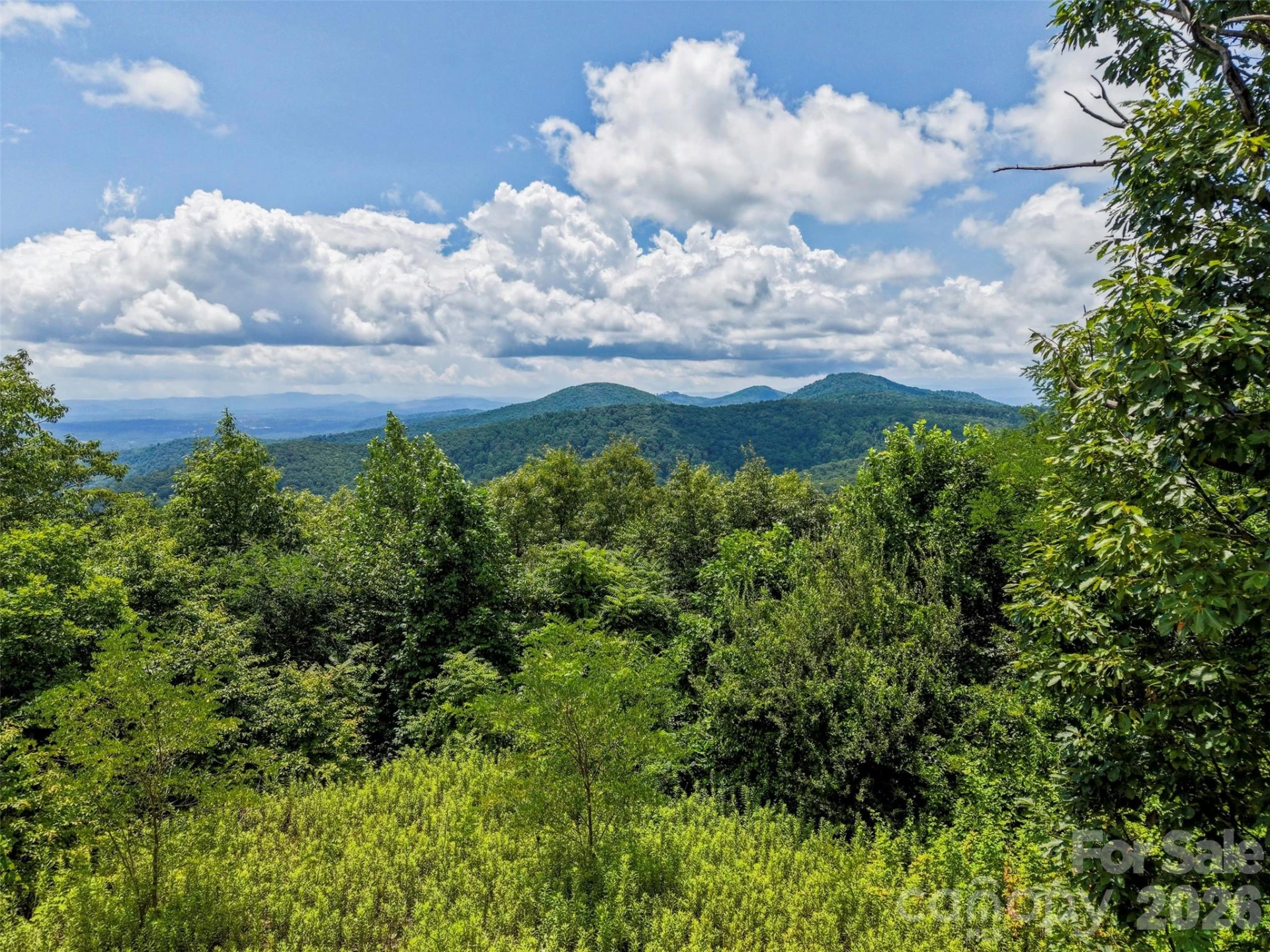705 Pine Ridge Road #59 - Photo 11