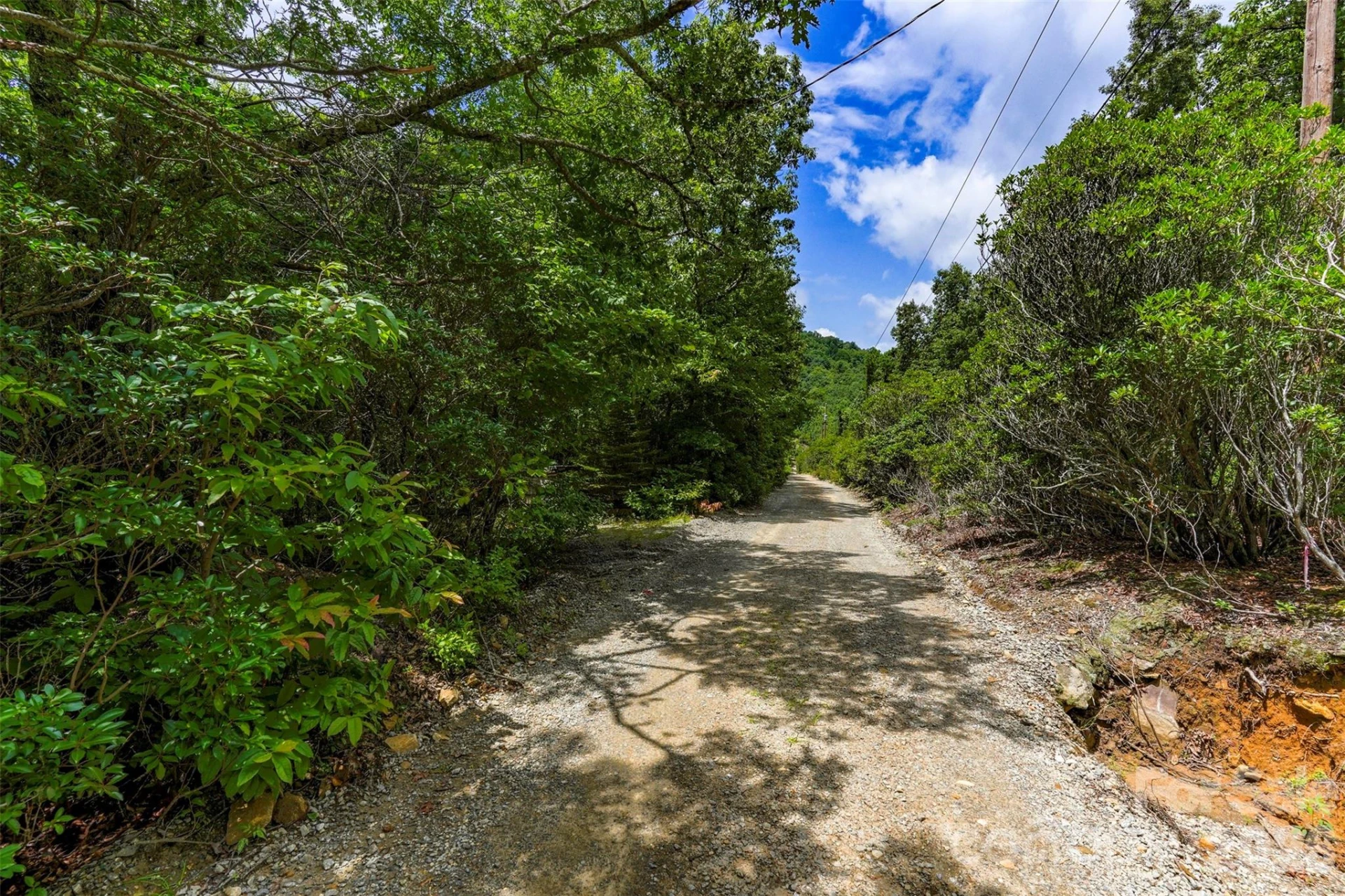 705 Pine Ridge Road #59 - Photo 14