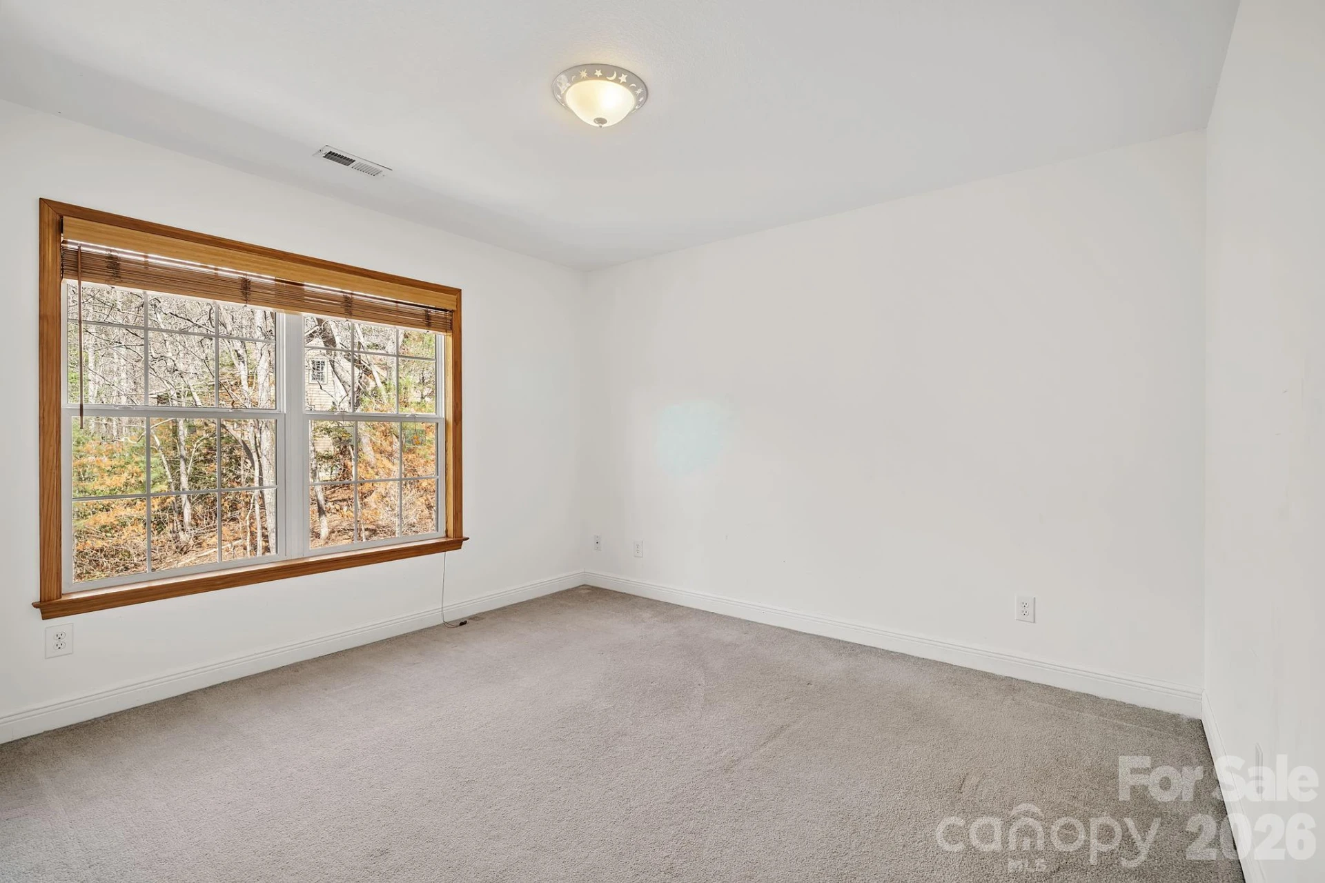 36 Ivy Cove Road - Photo 26