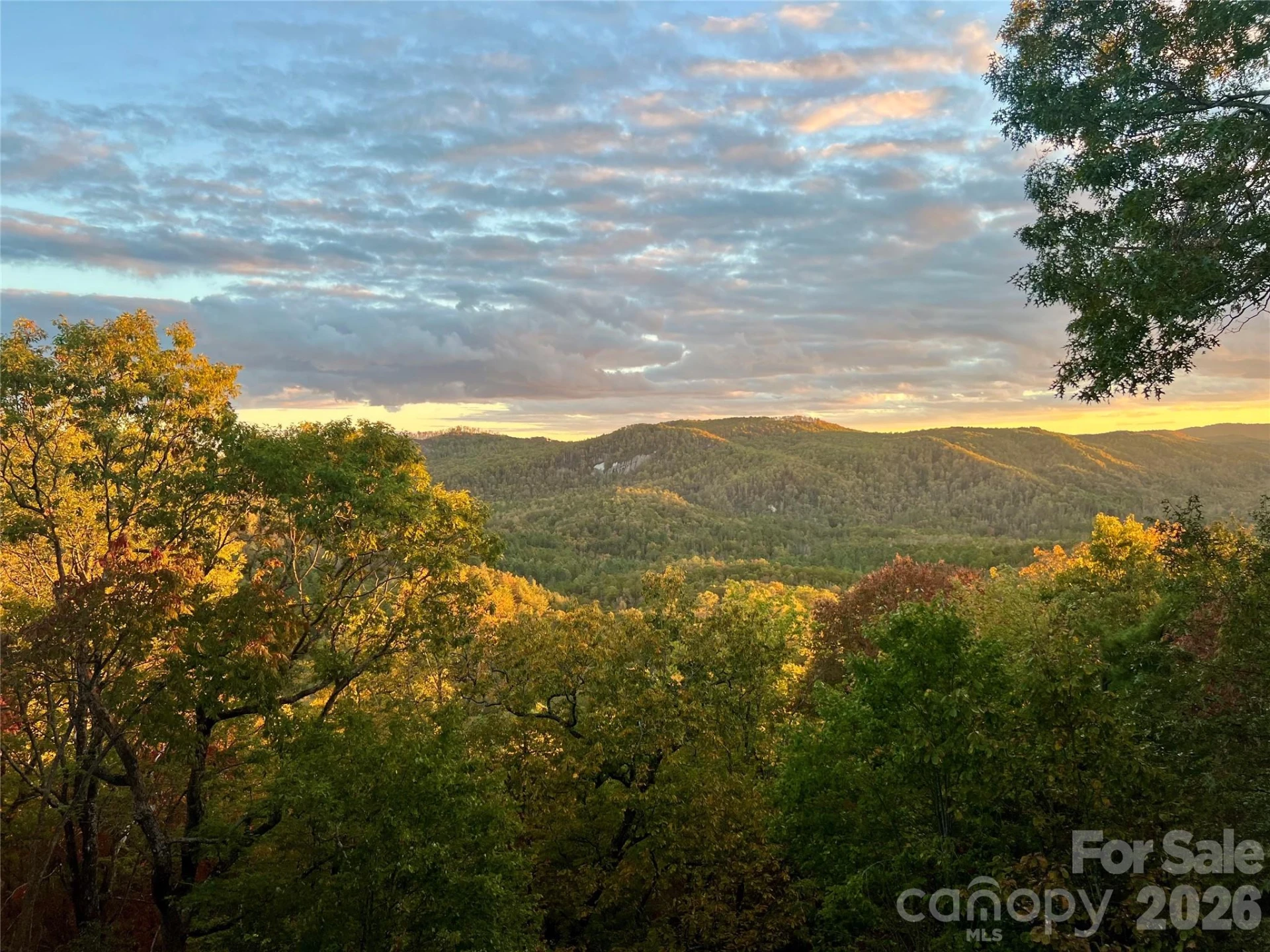 138 Bear Paw Drive - Photo 47