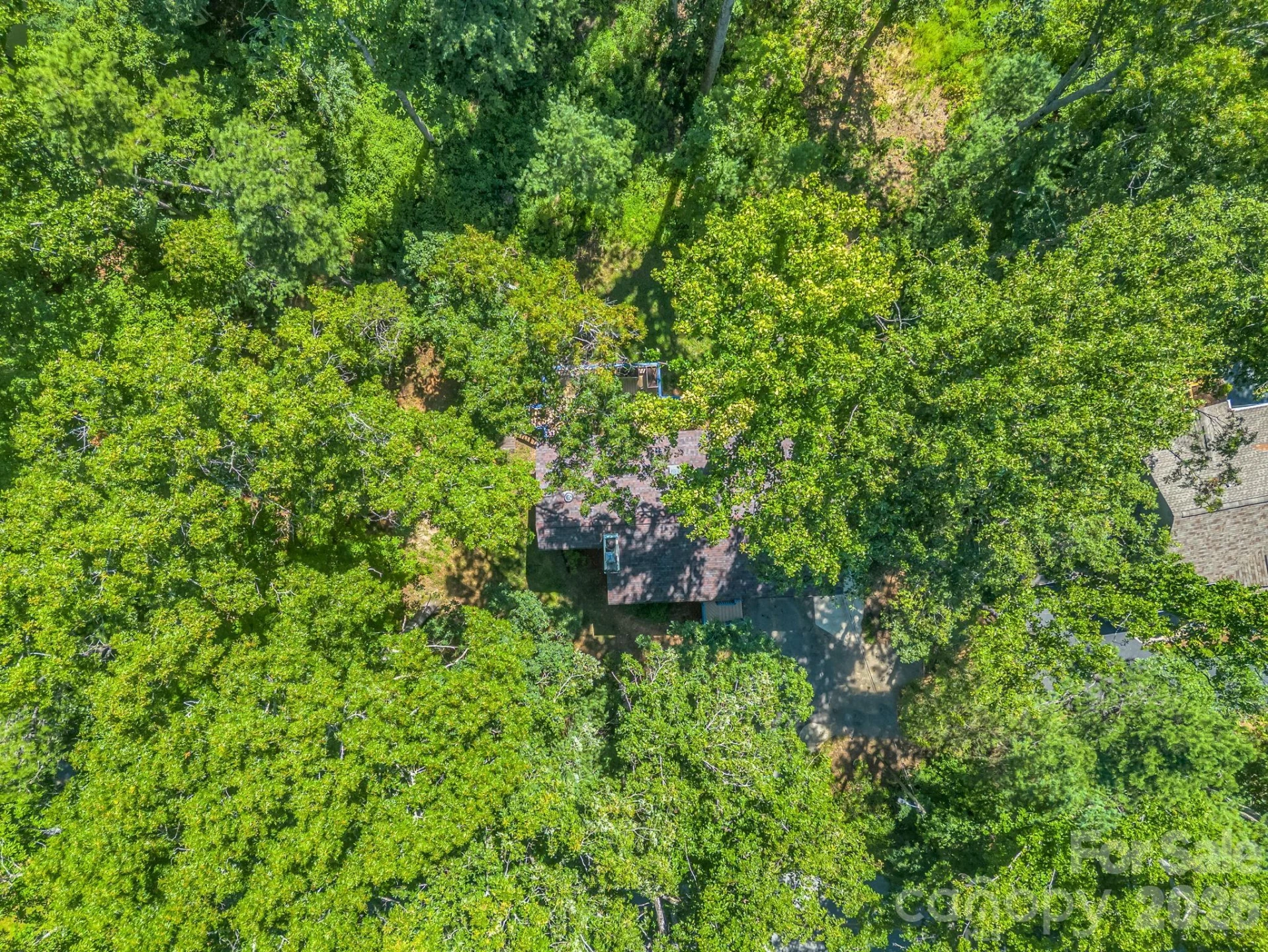 177 Weston Road - Photo 43
