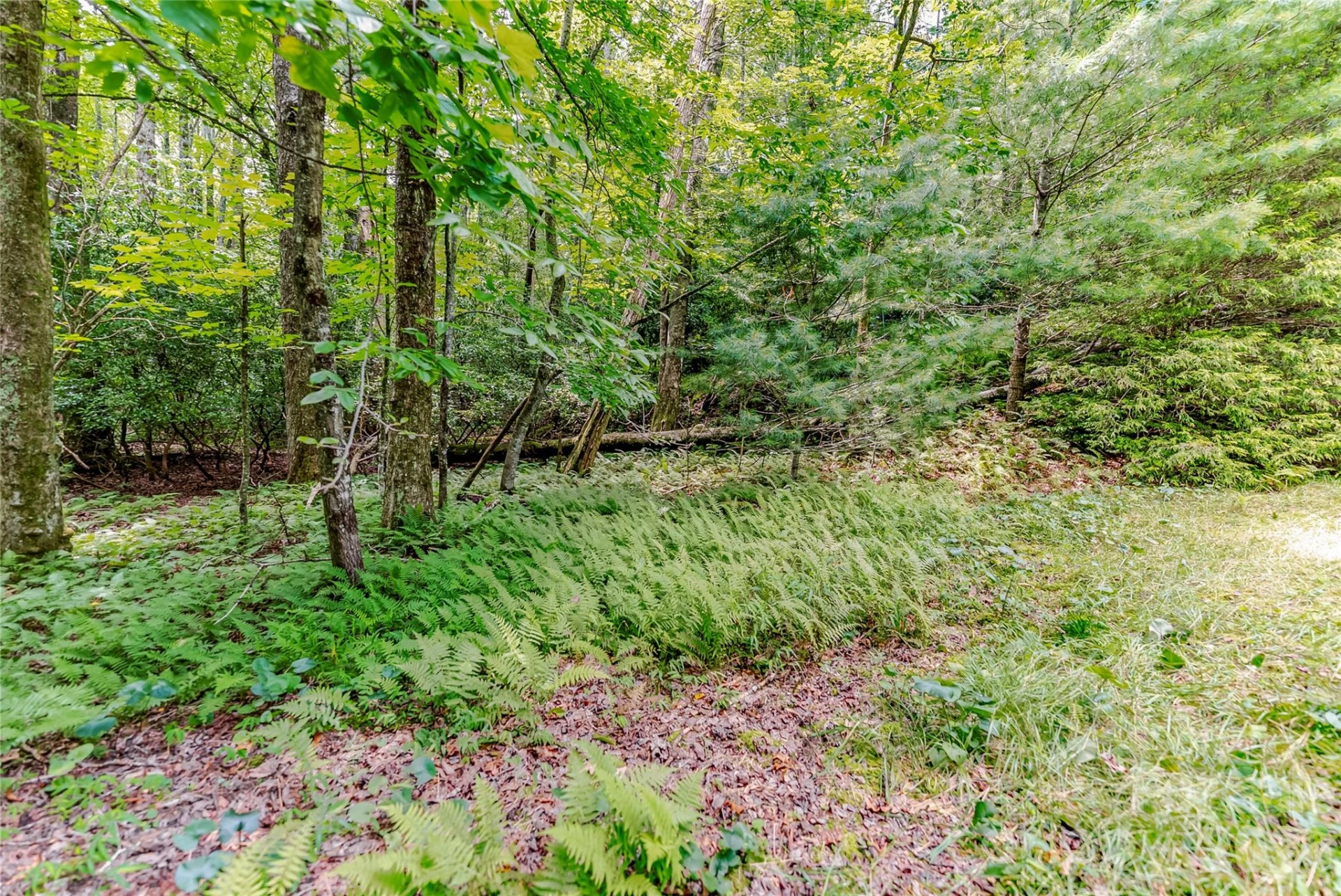 129 Nodatsi Court - Photo 41