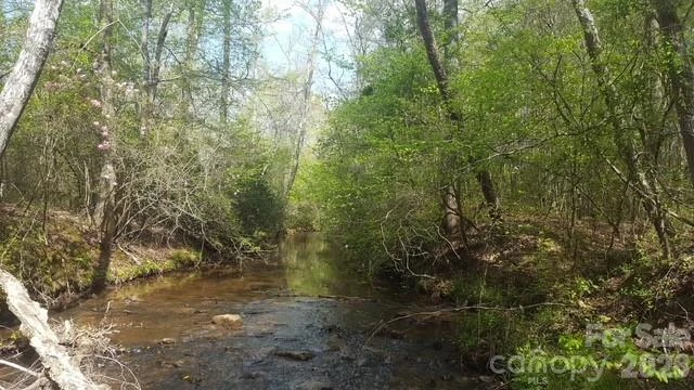 189 Hazelhurst Lane - Photo 41