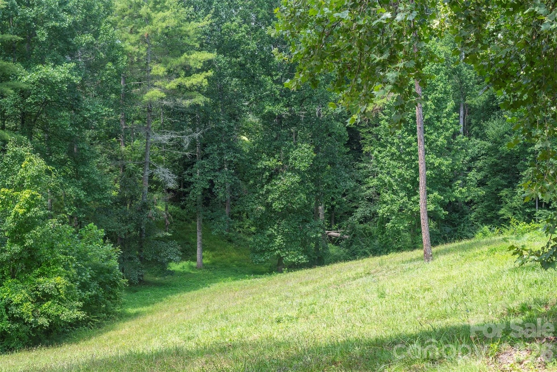 90 Pine Forest Drive - Photo 46