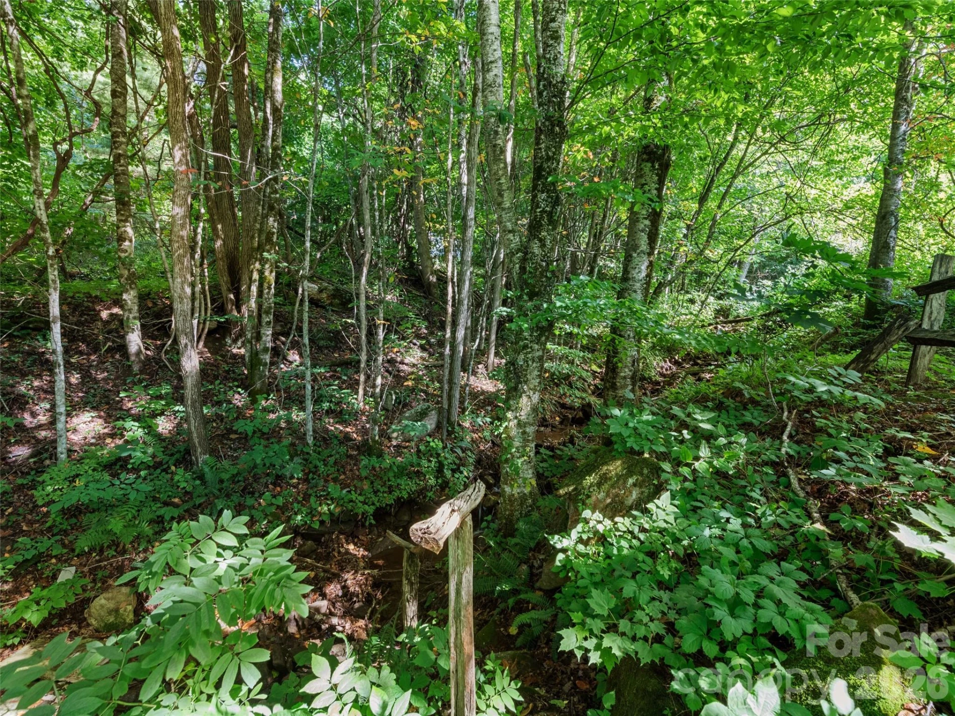 51 Atari Road - Photo 31