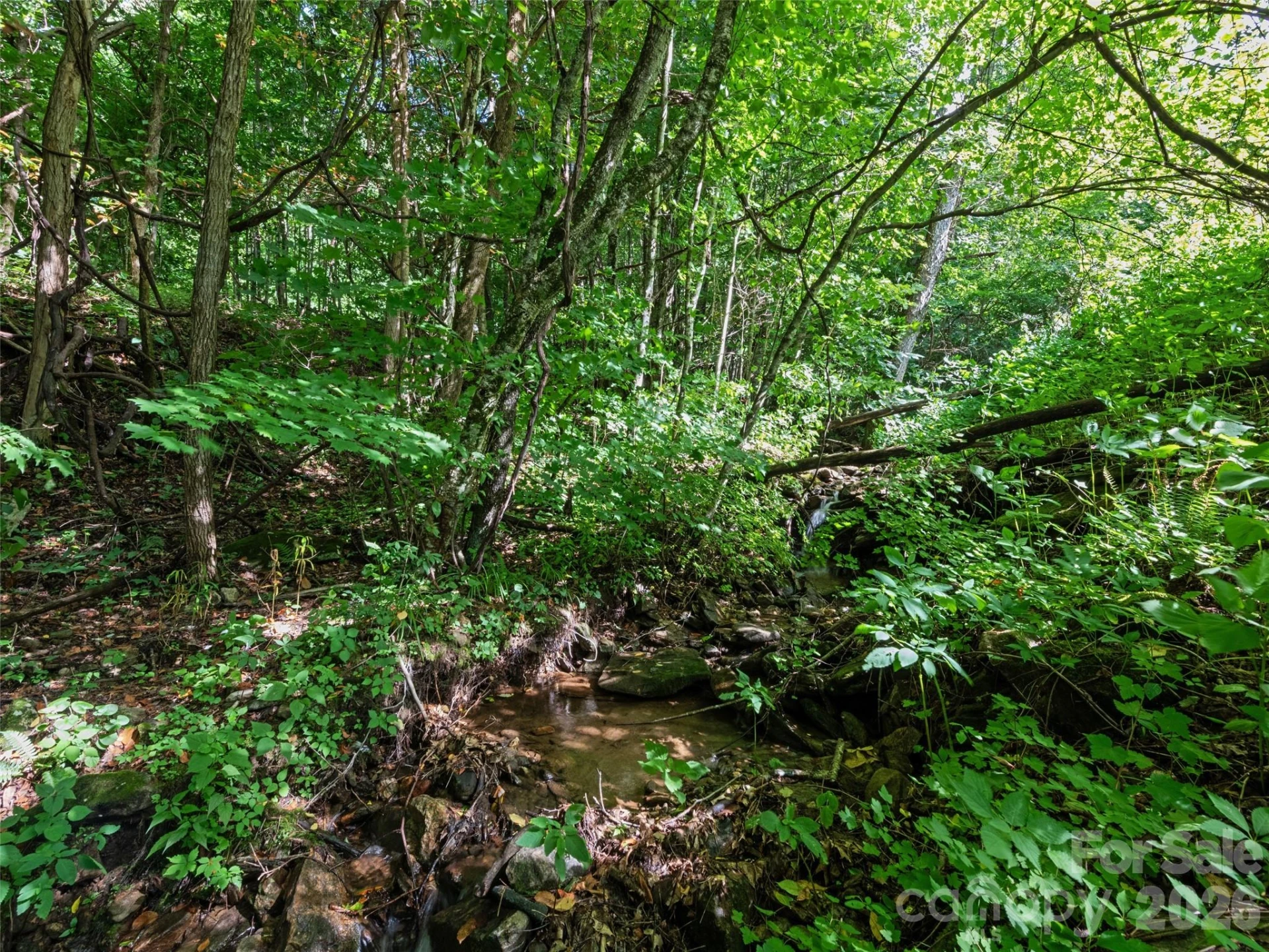 51 Atari Road - Photo 32