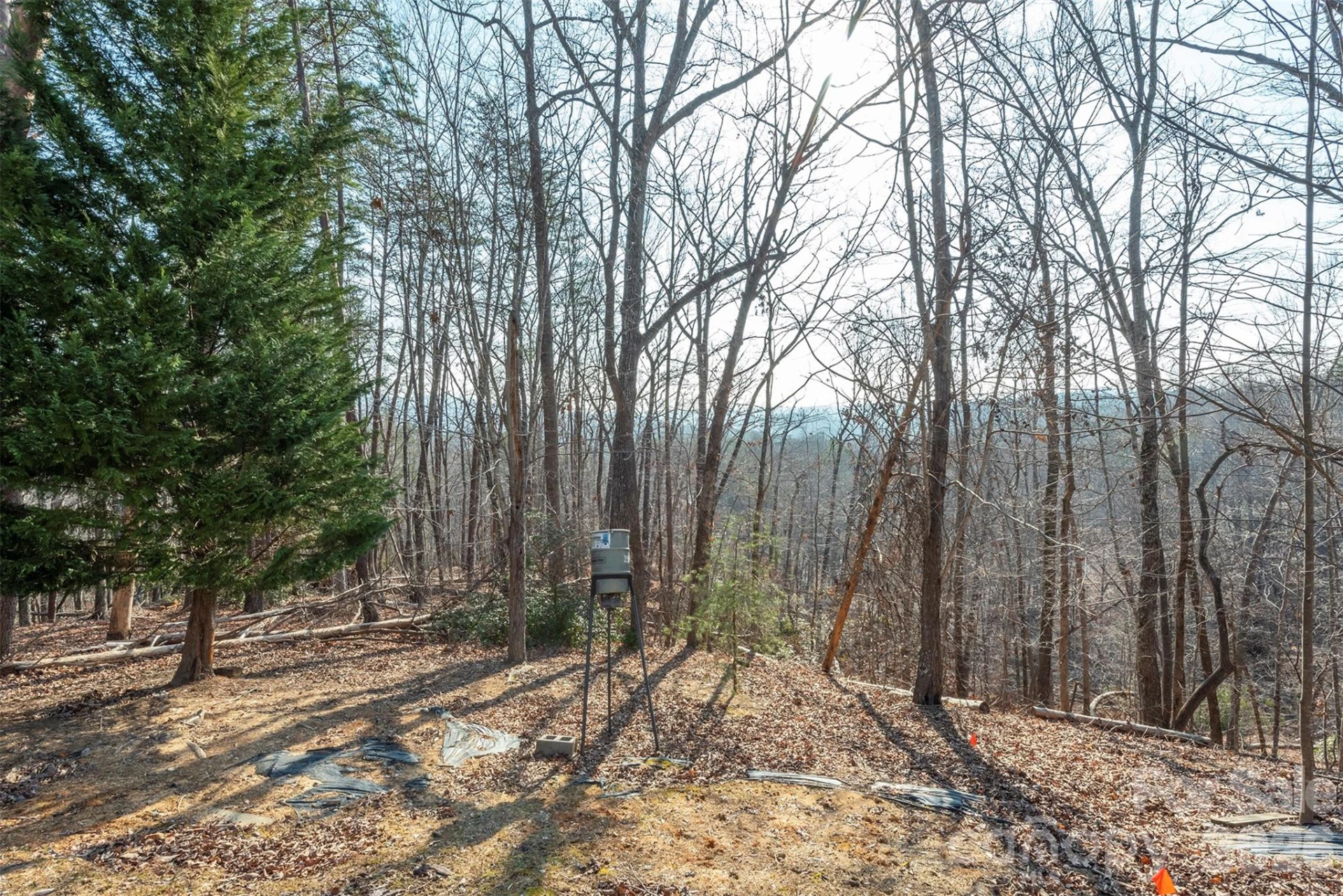 192 Buzzards Place - Photo 15