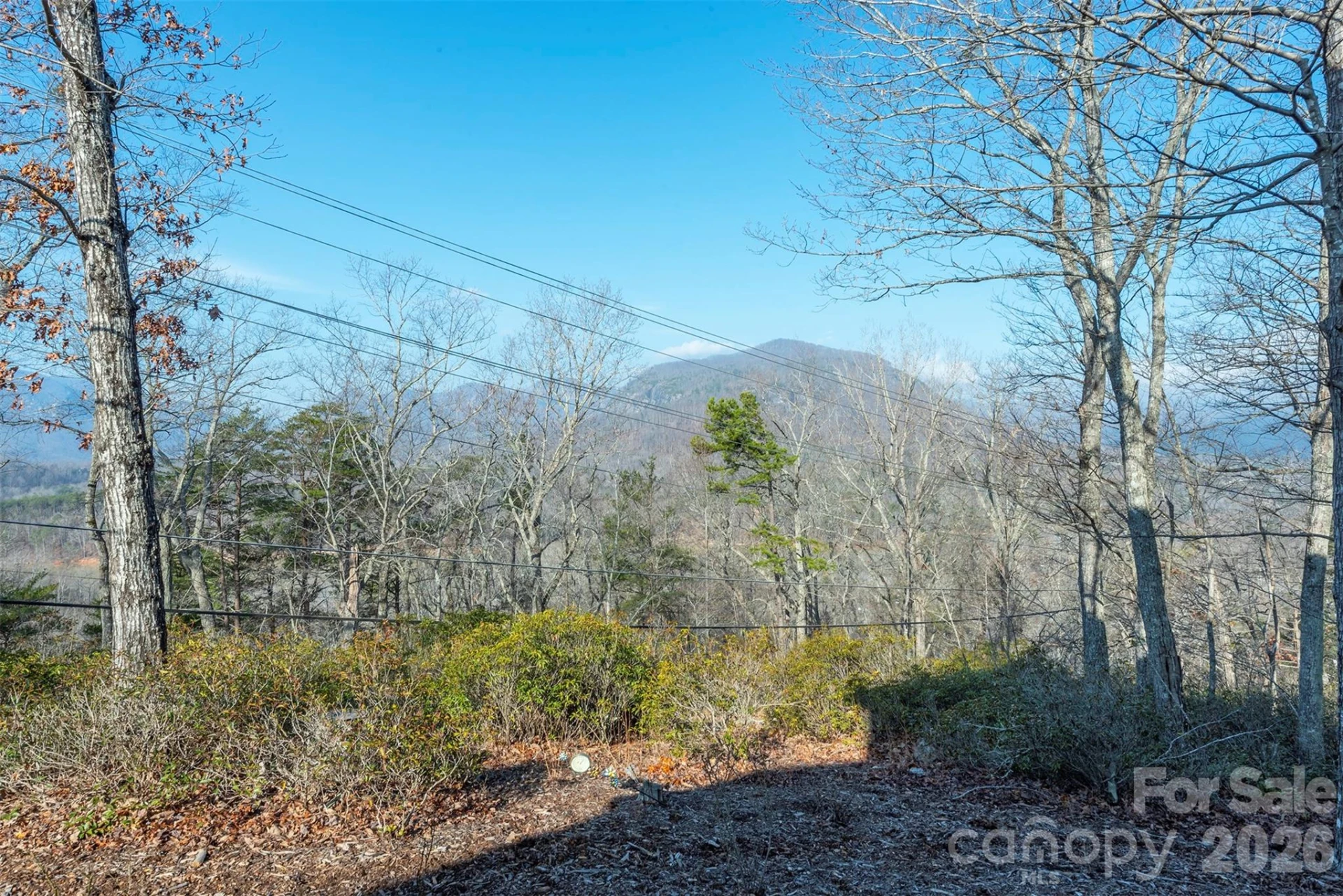 192 Buzzards Place - Photo 9
