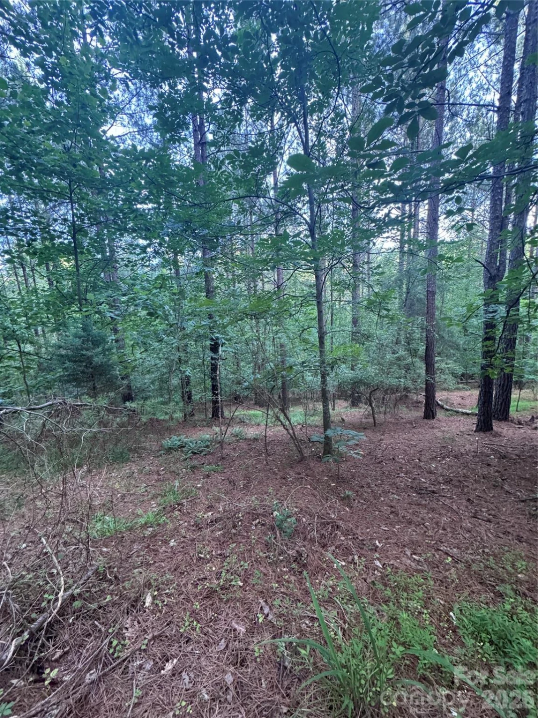 0 Clearwater Parkway #203 - Photo 2