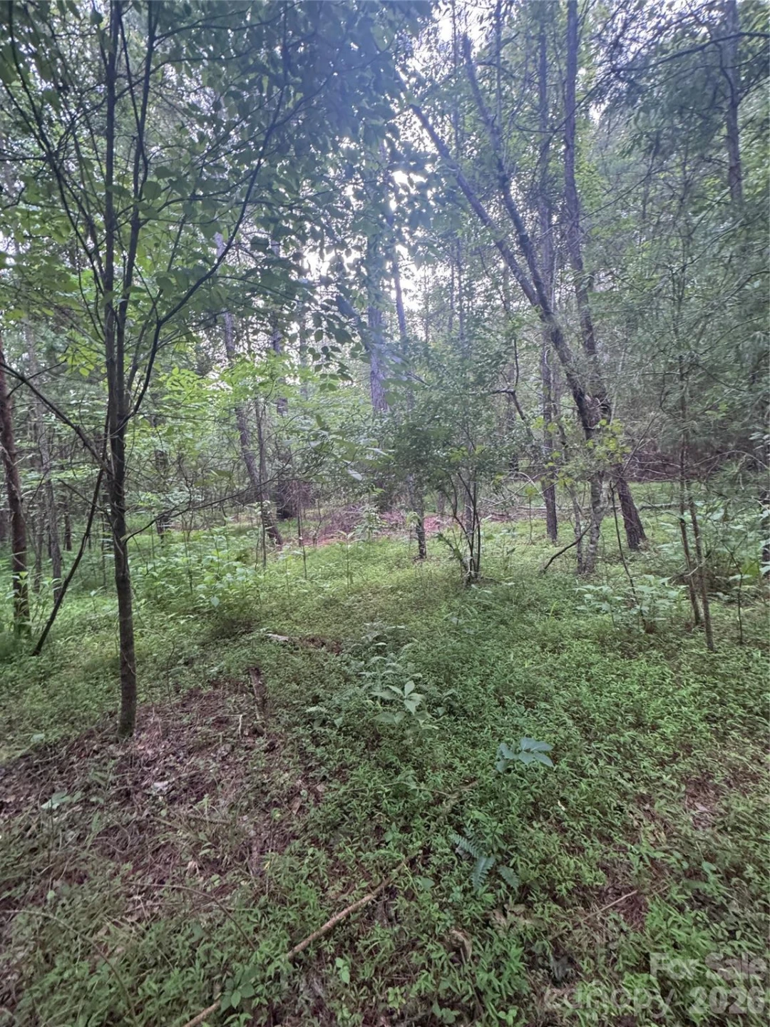 0 Clearwater Parkway #203 - Photo 14