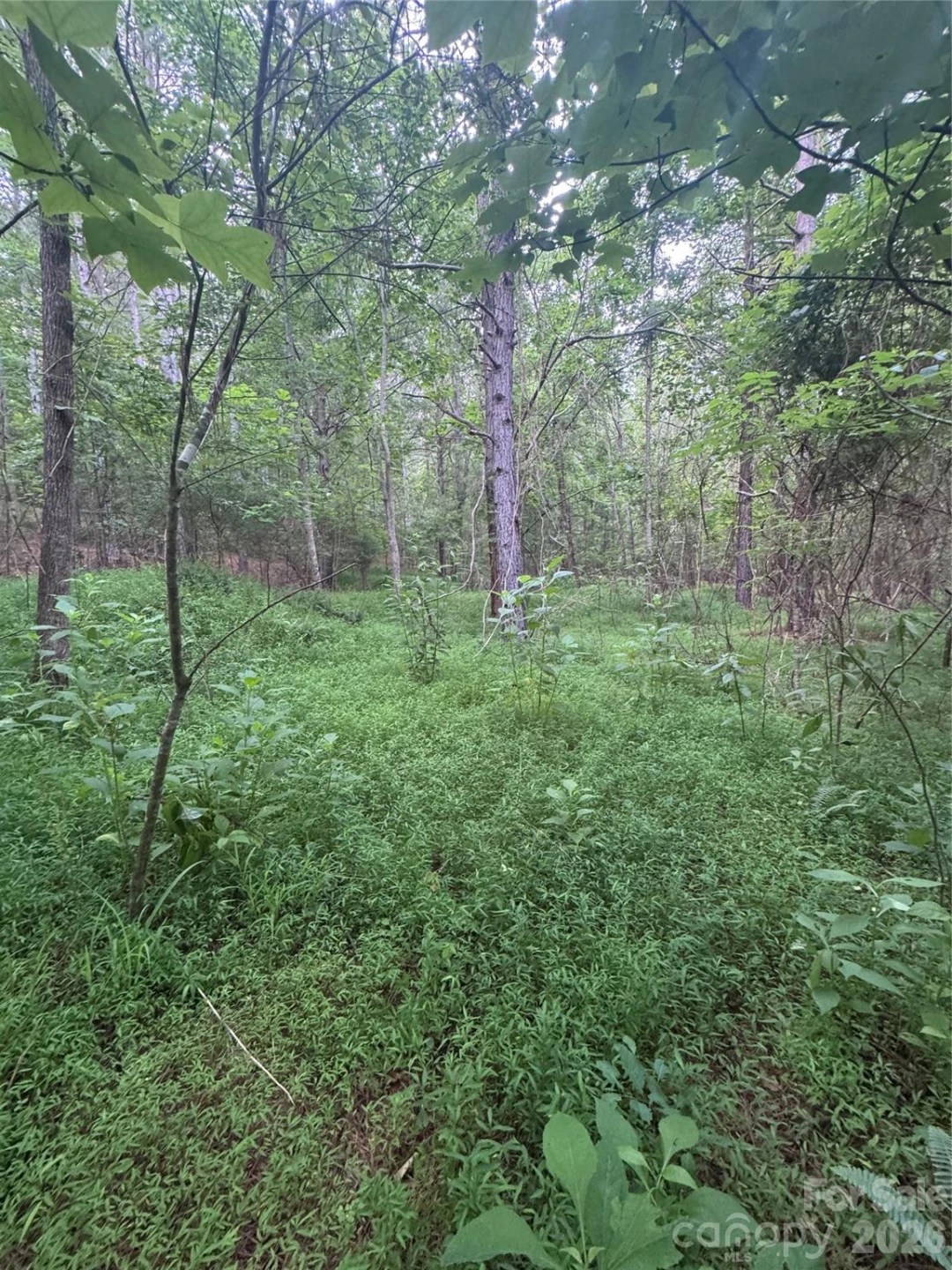 0 Clearwater Parkway #203 - Photo 15