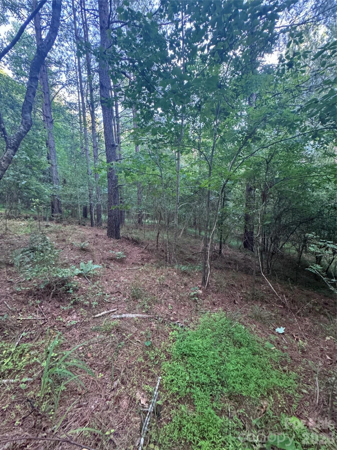0 Clearwater Parkway #203 - Photo 16