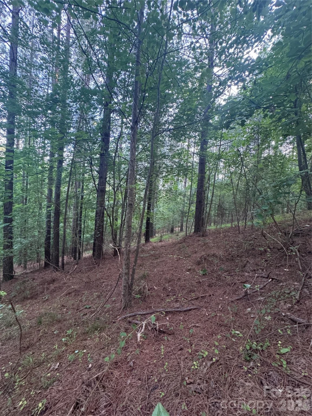 0 Clearwater Parkway #203 - Photo 21
