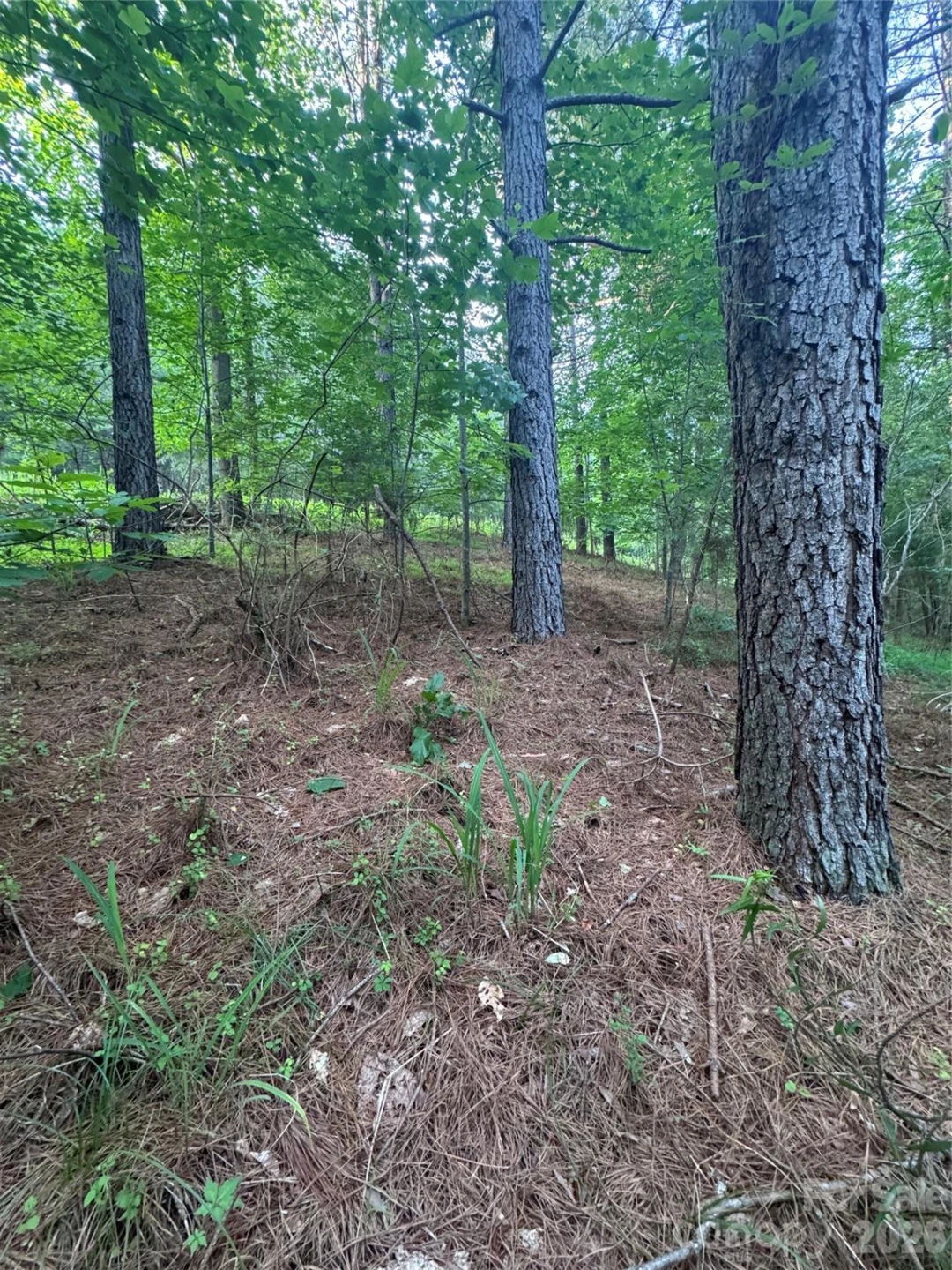 0 Clearwater Parkway #203 - Photo 4