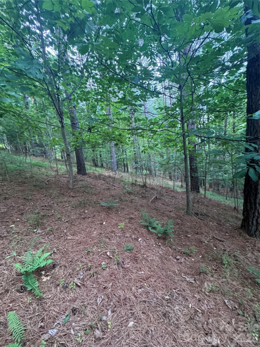 0 Clearwater Parkway #203 - Photo 5
