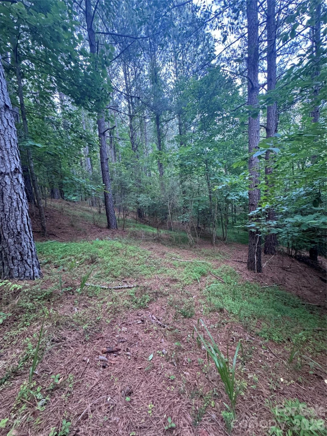 0 Clearwater Parkway #203 - Photo 6