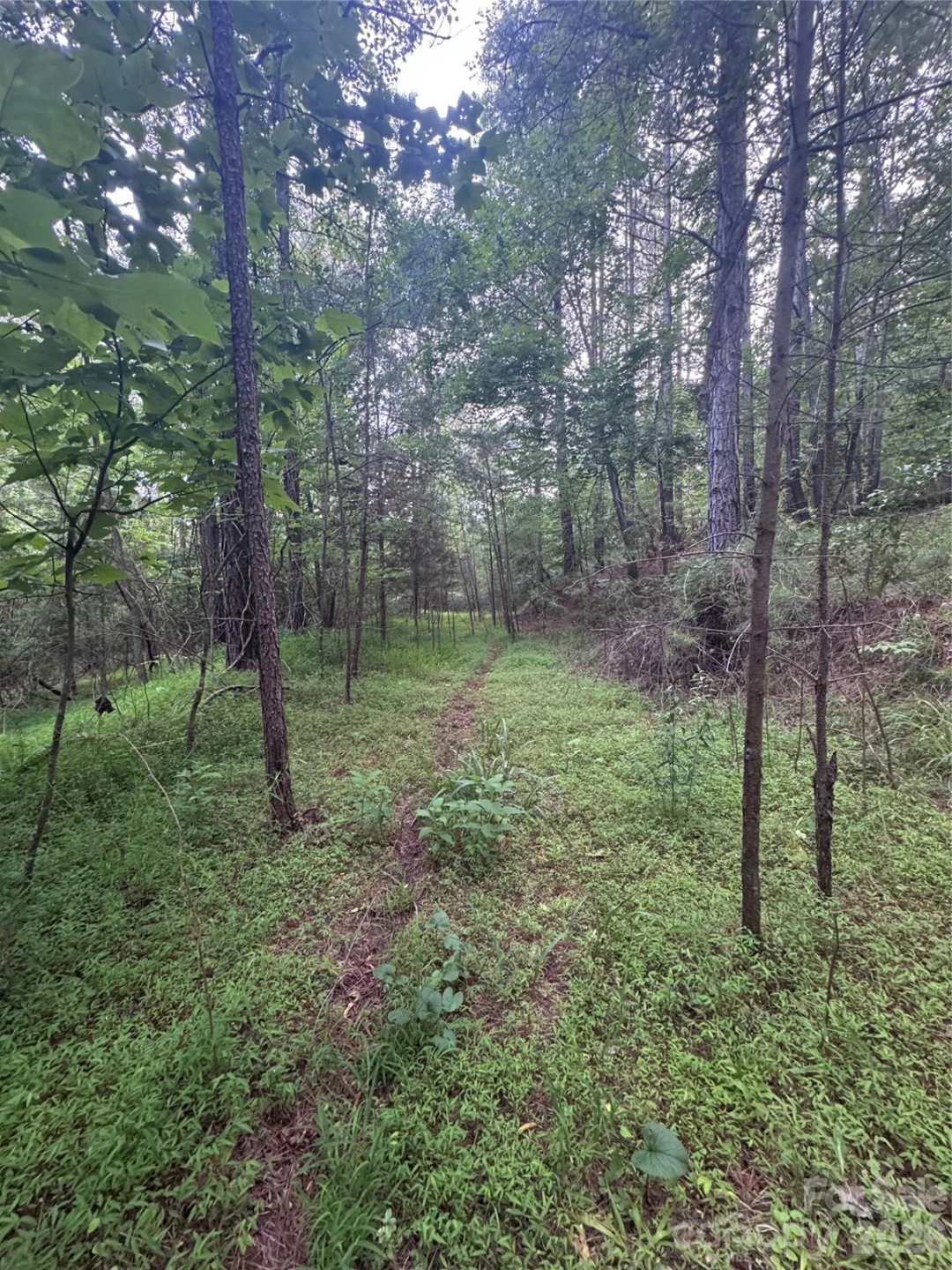 0 Clearwater Parkway #203 - Photo 7