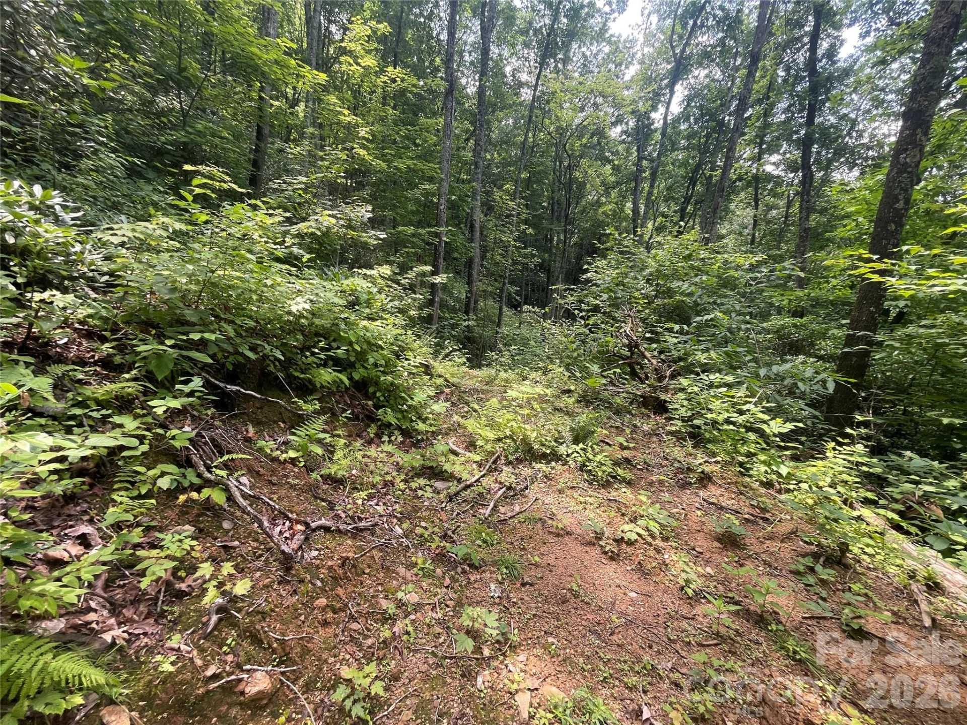 242 Floyd Road - Photo 2