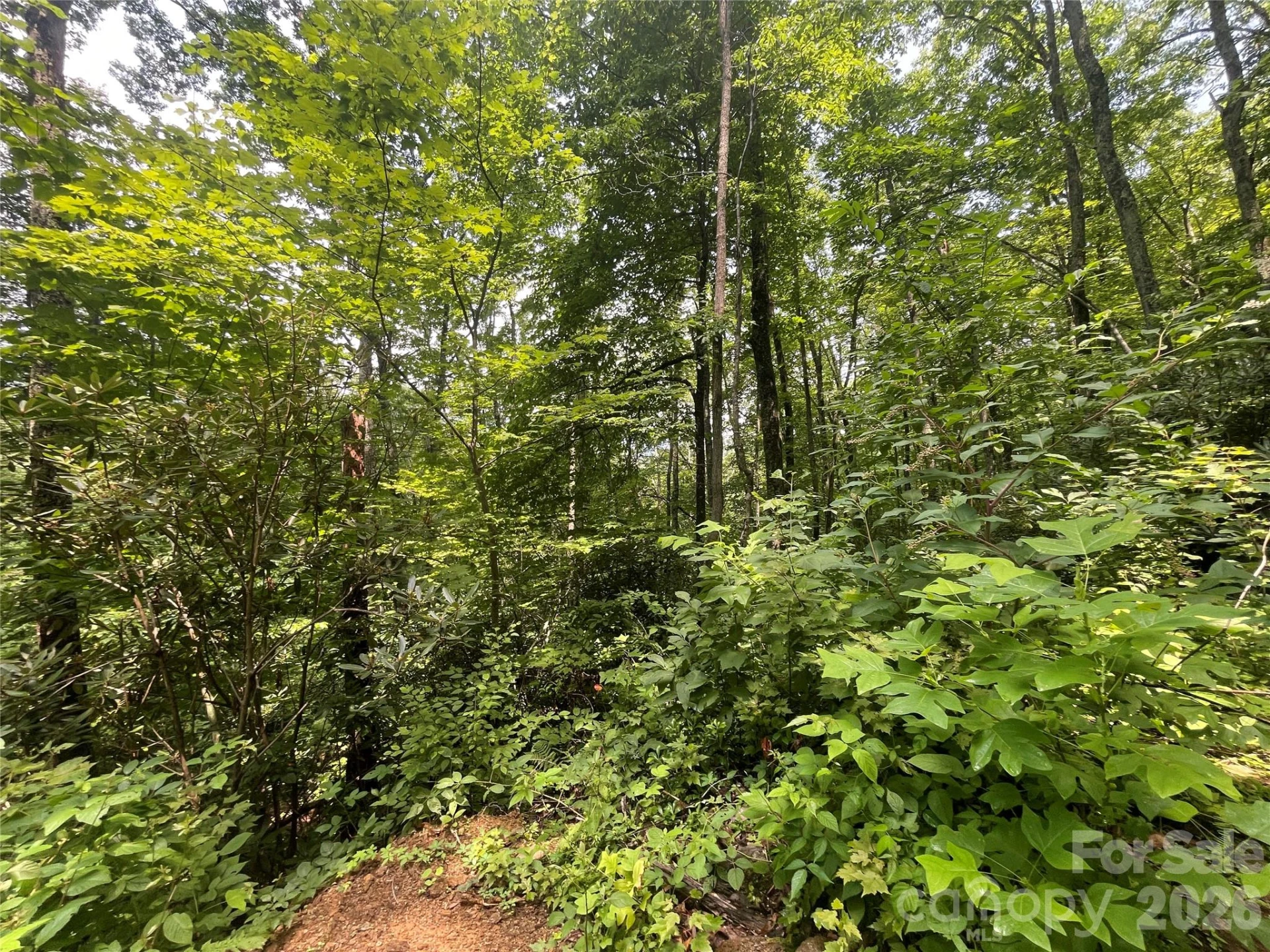 242 Floyd Road - Photo 3