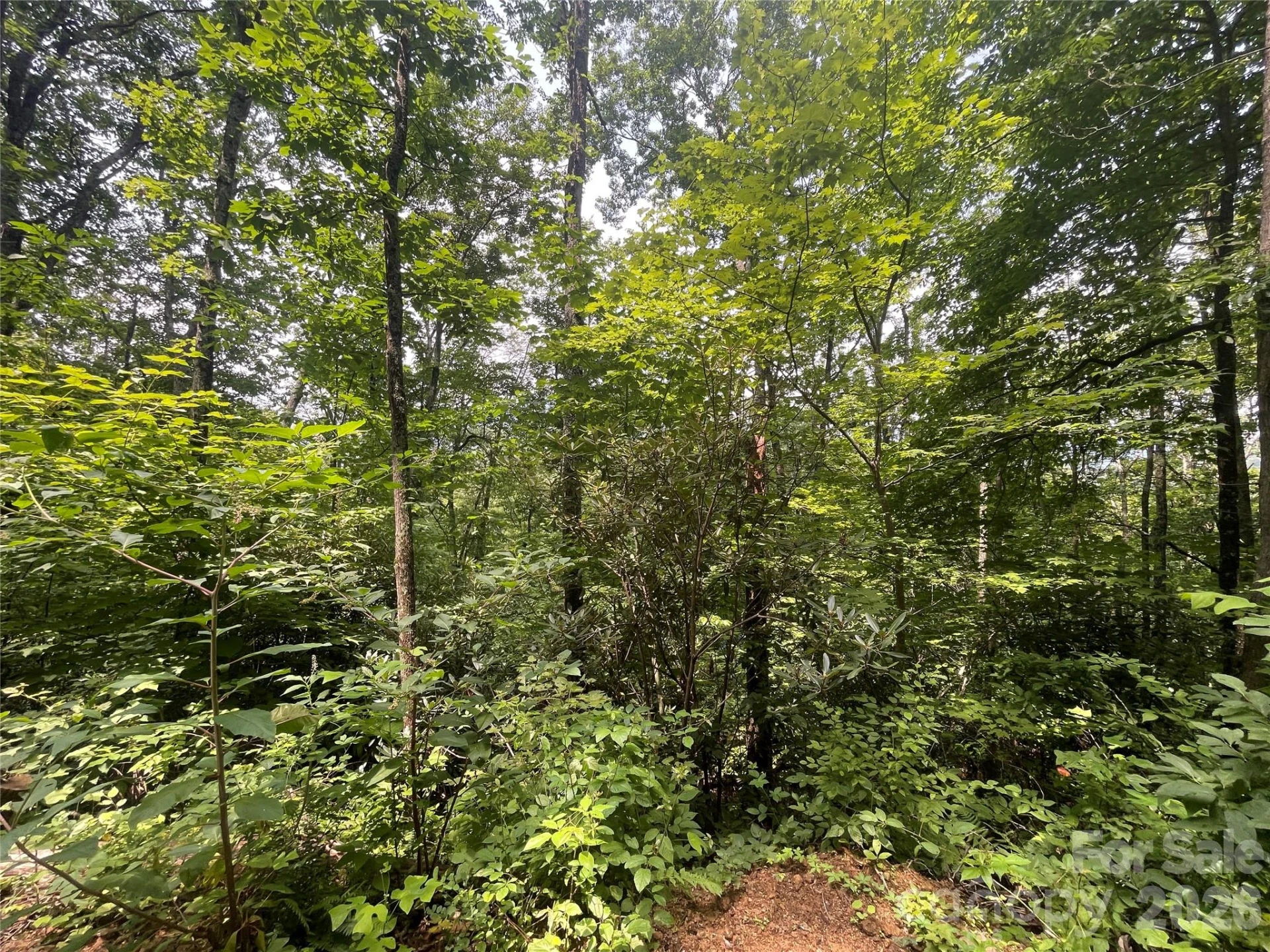 242 Floyd Road - Photo 4