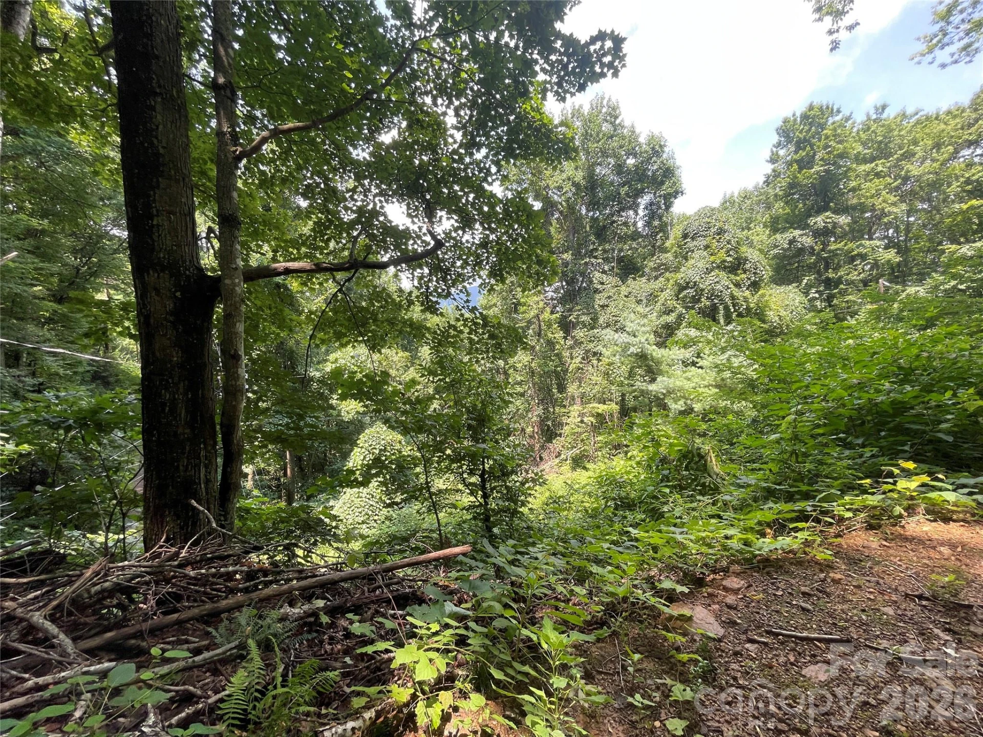 242 Floyd Road - Photo 8