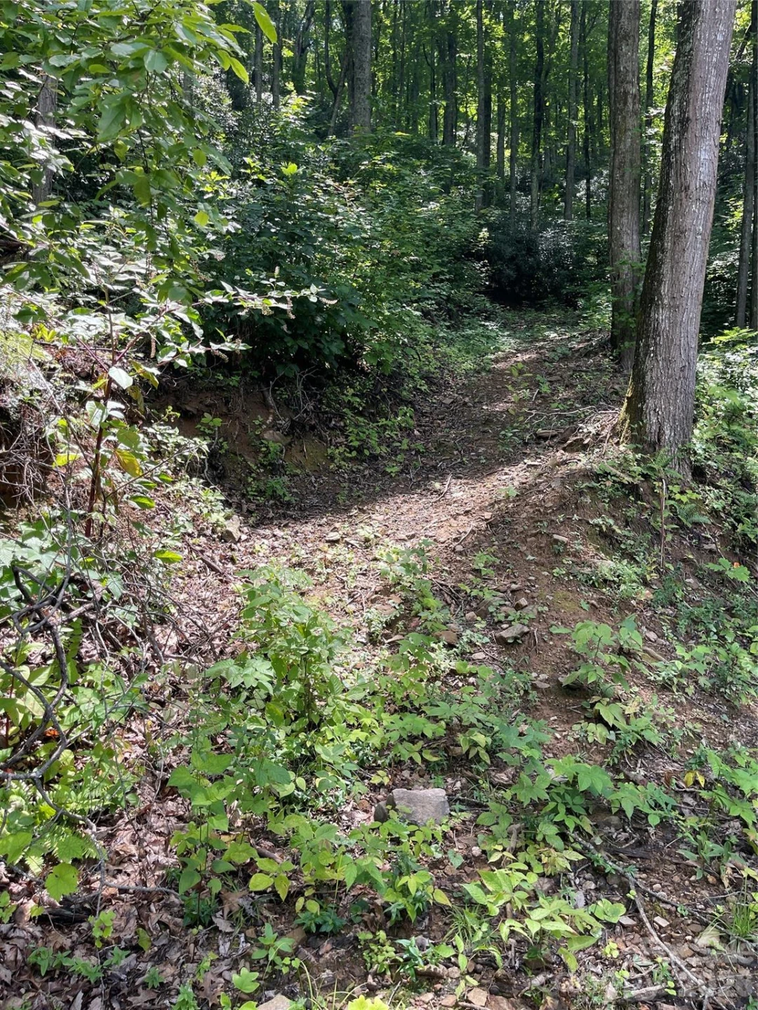 242 Floyd Road - Photo 9