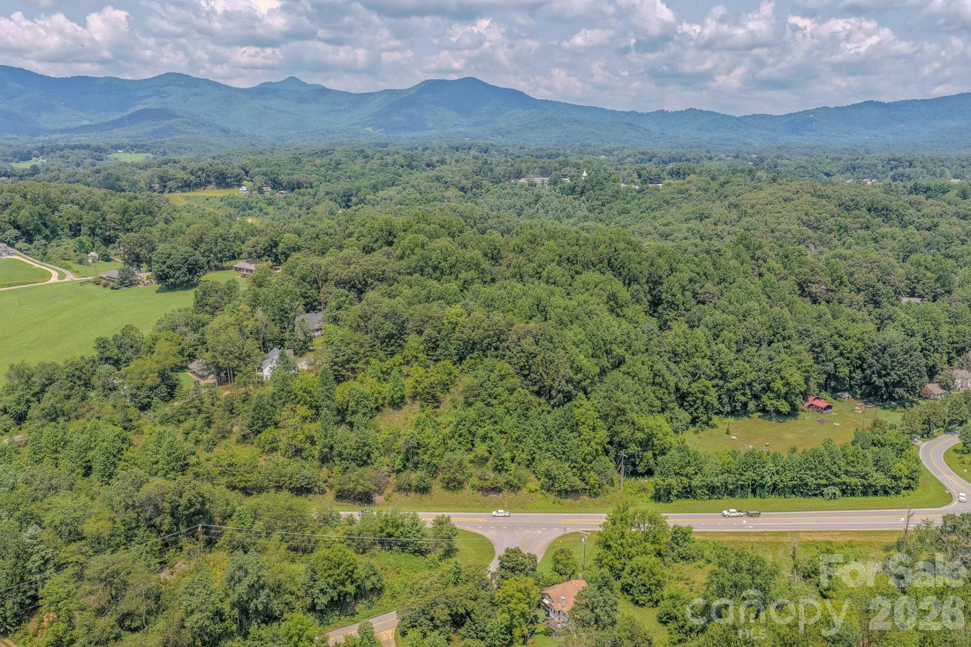 130 Old Candler Town Road - Photo 3