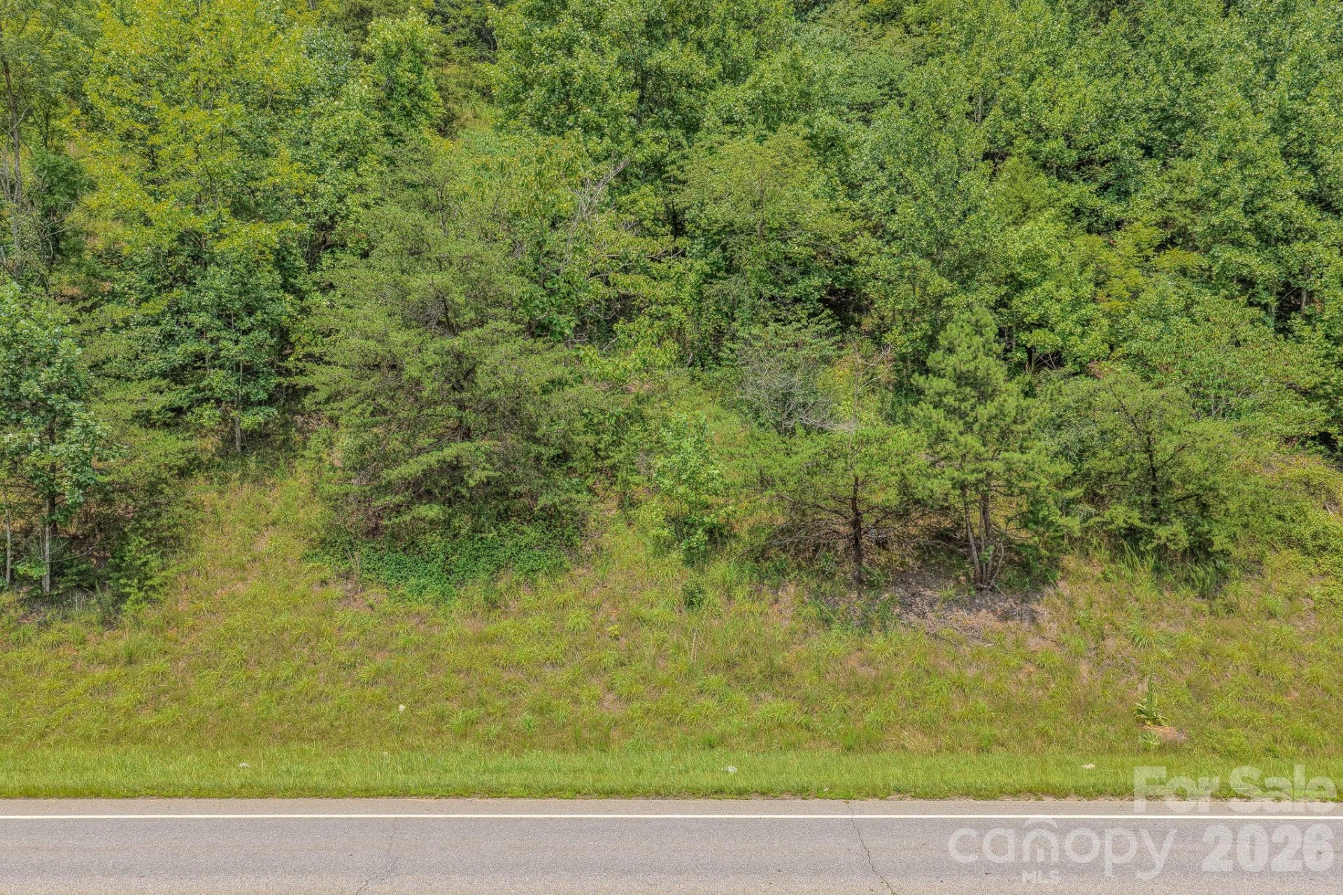 130 Old Candler Town Road - Photo 19