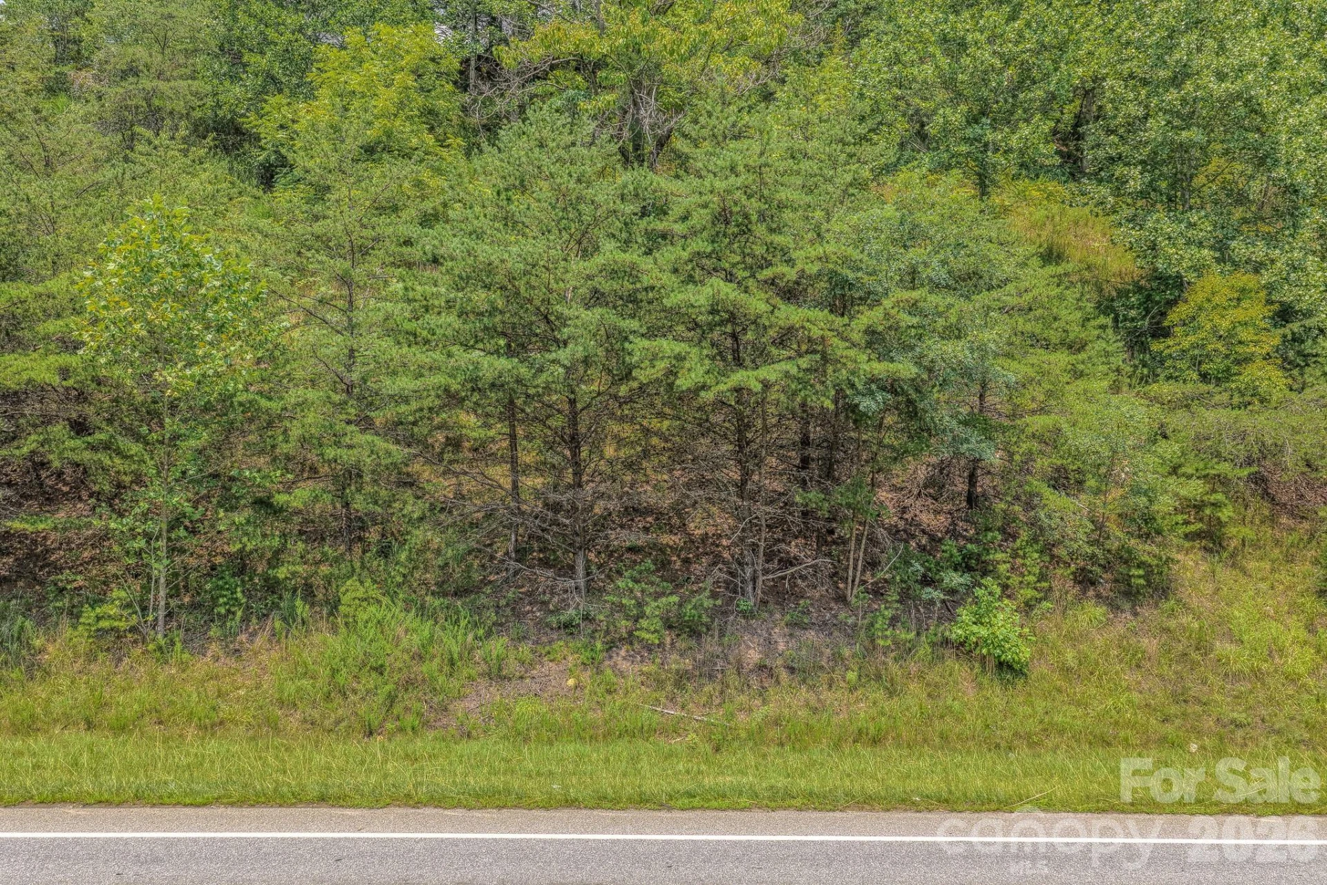 130 Old Candler Town Road - Photo 22