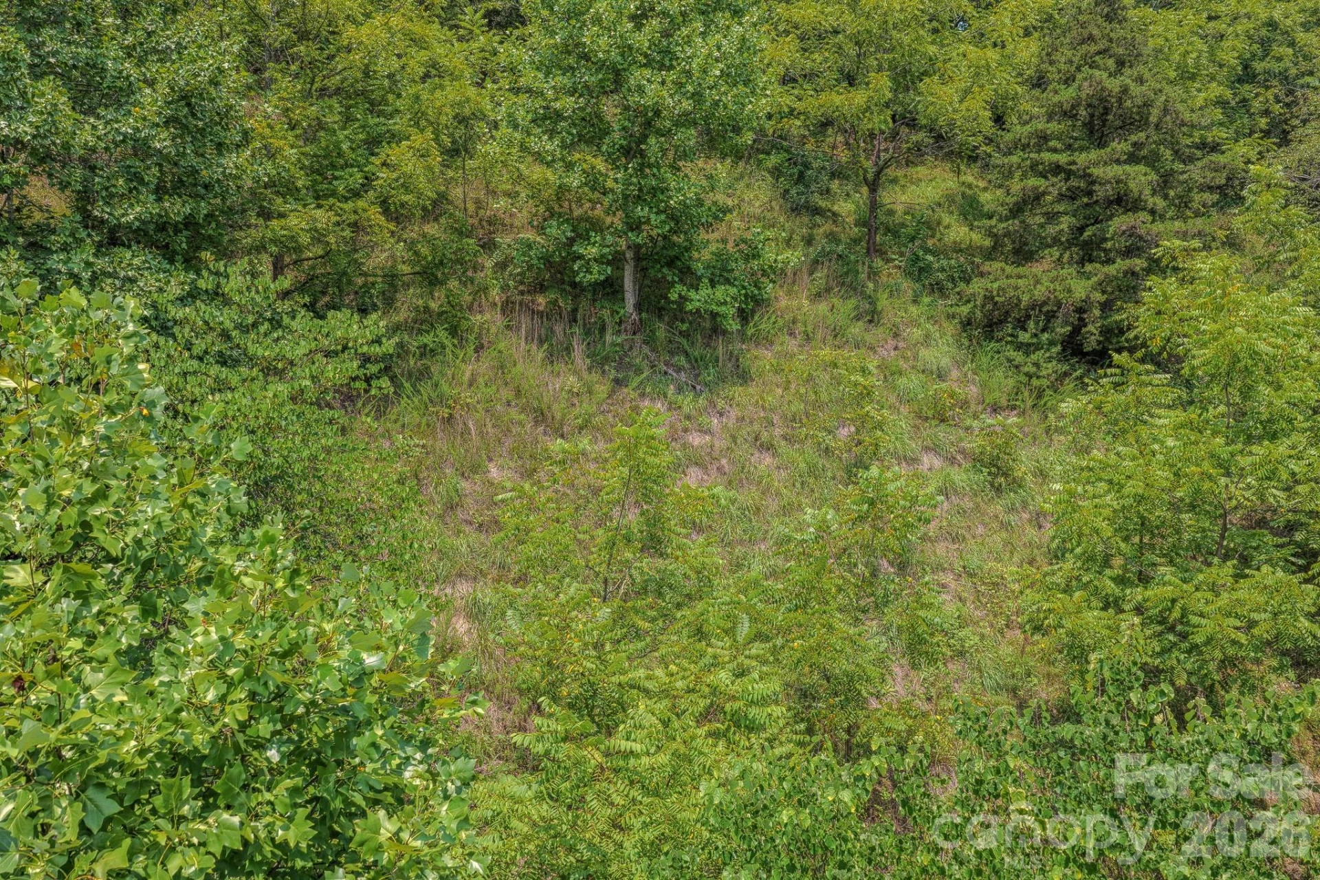 130 Old Candler Town Road - Photo 24