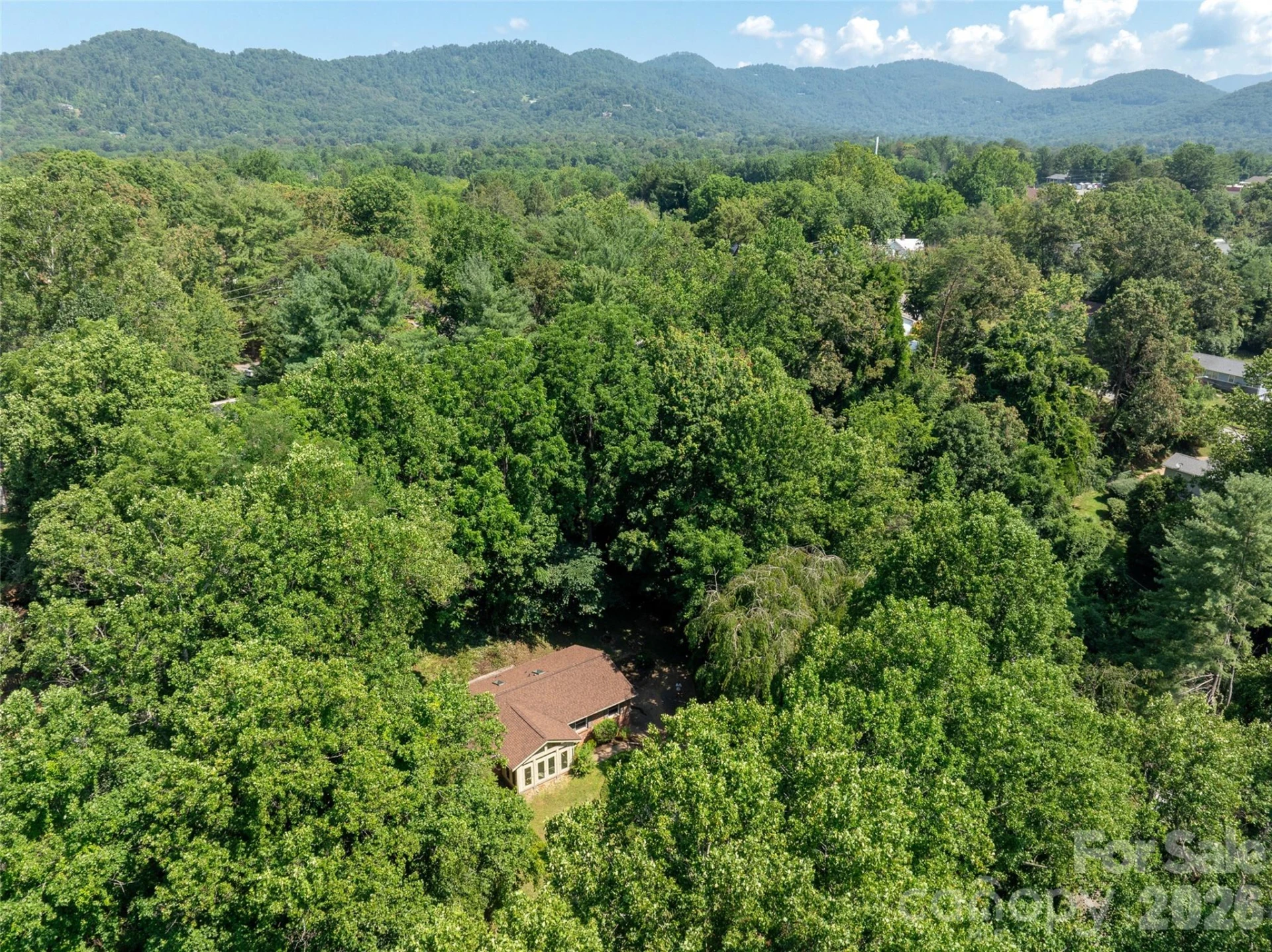 41 Pinehurst Road - Photo 44